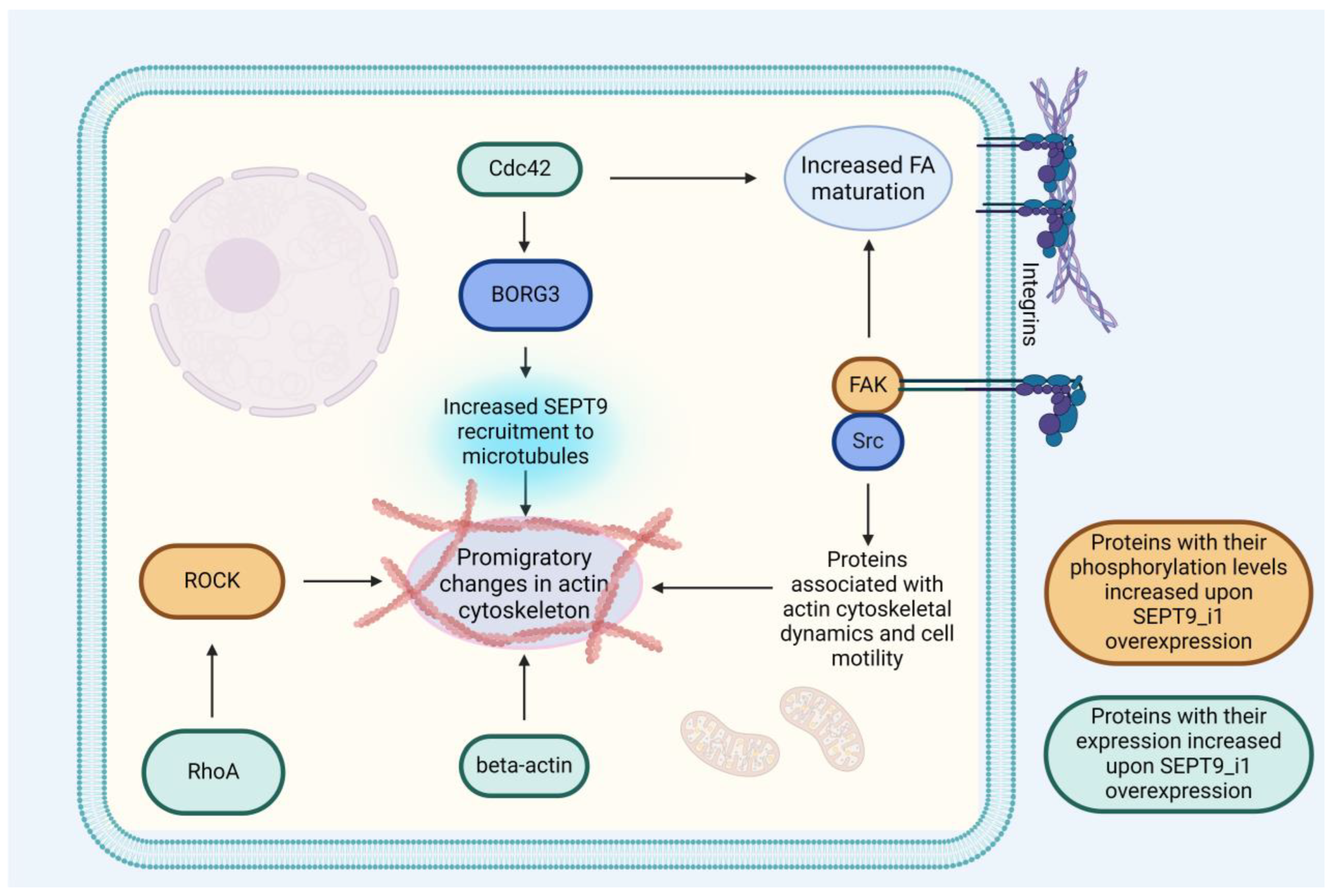 Biomolecules 14 01194 g004