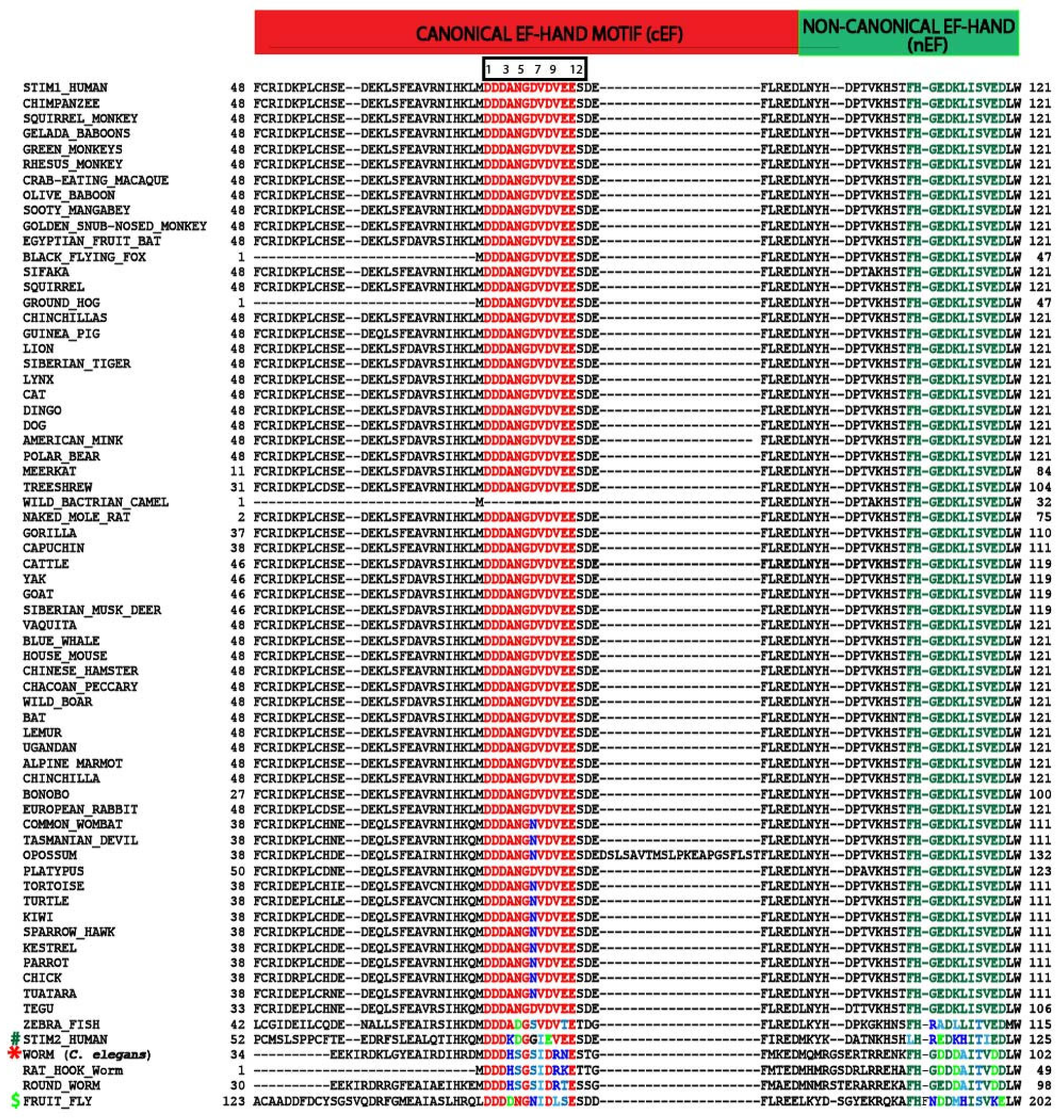 Biomolecules 14 01200 g002 Biomolecules 14 01200 g002