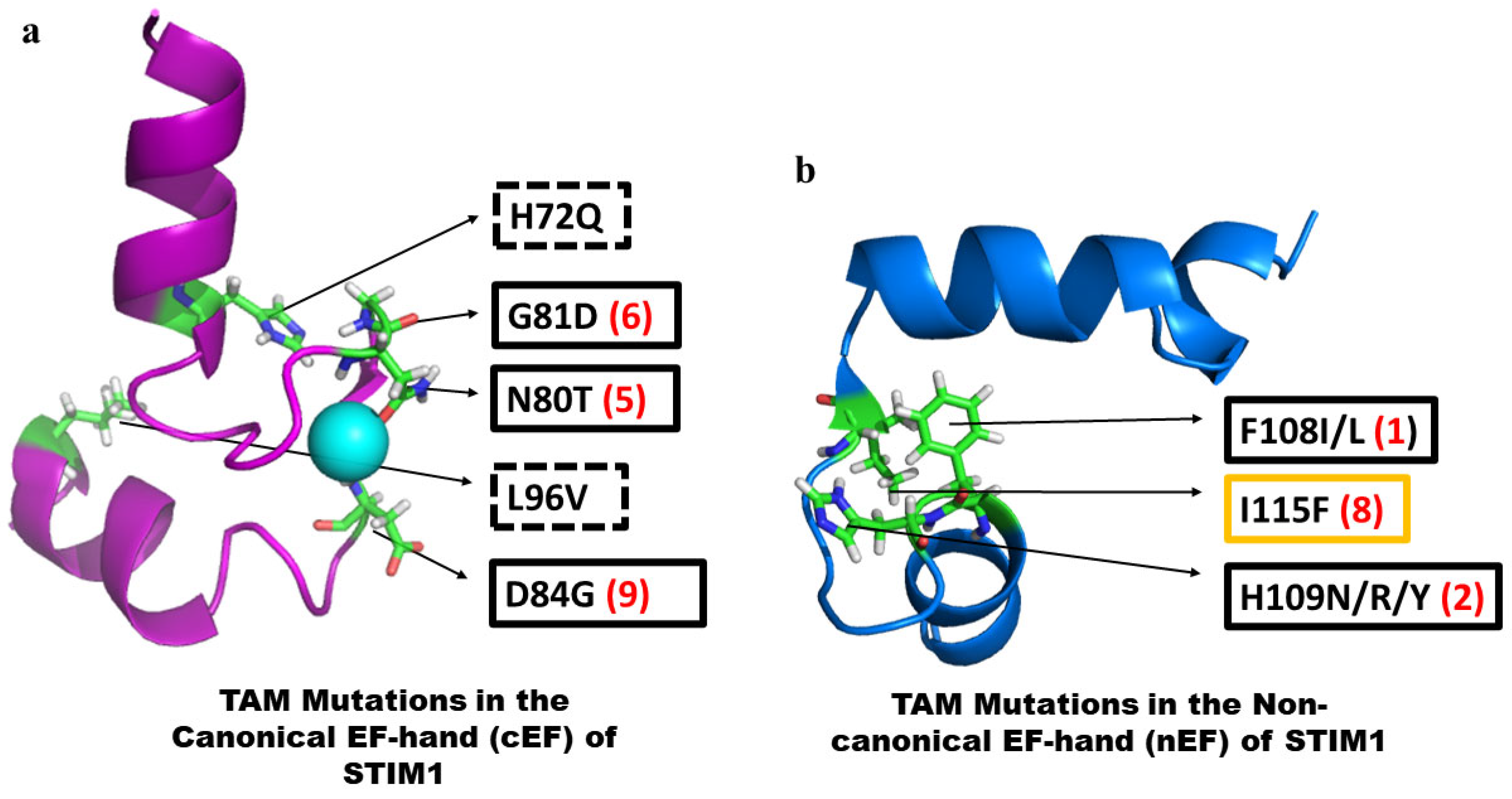 Biomolecules 14 01200 g003 Biomolecules 14 01200 g003
