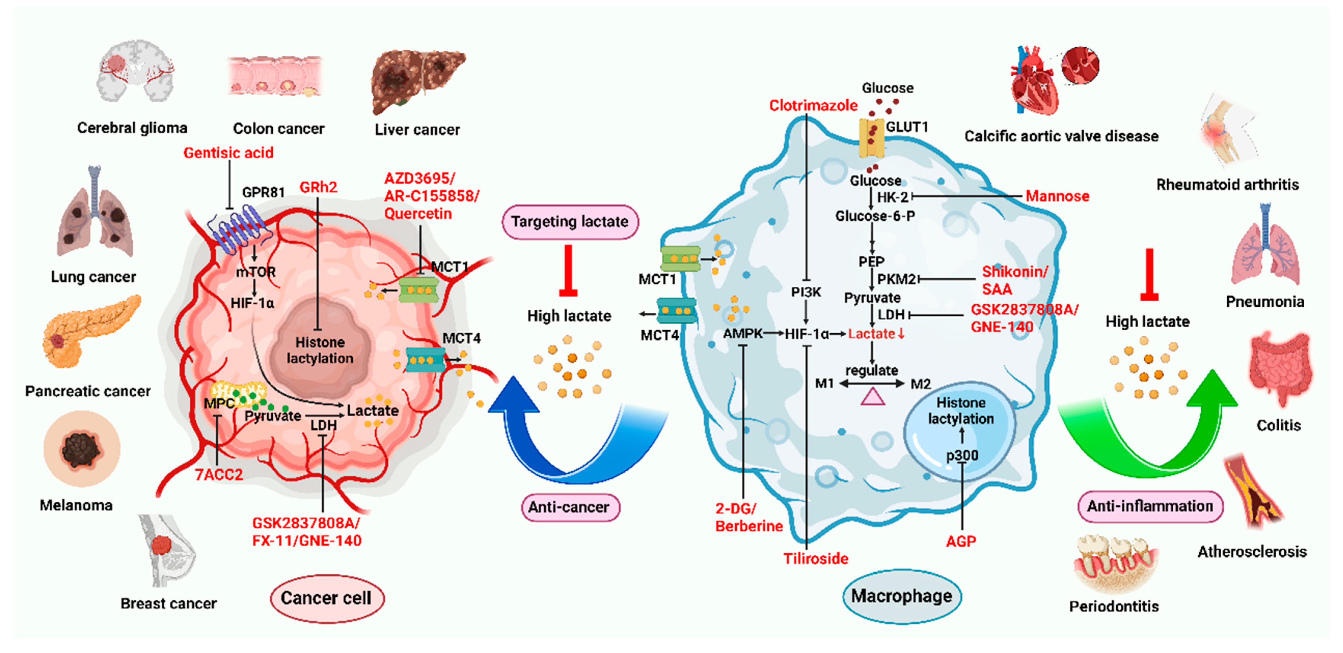 Biomolecules 14 01202 g002