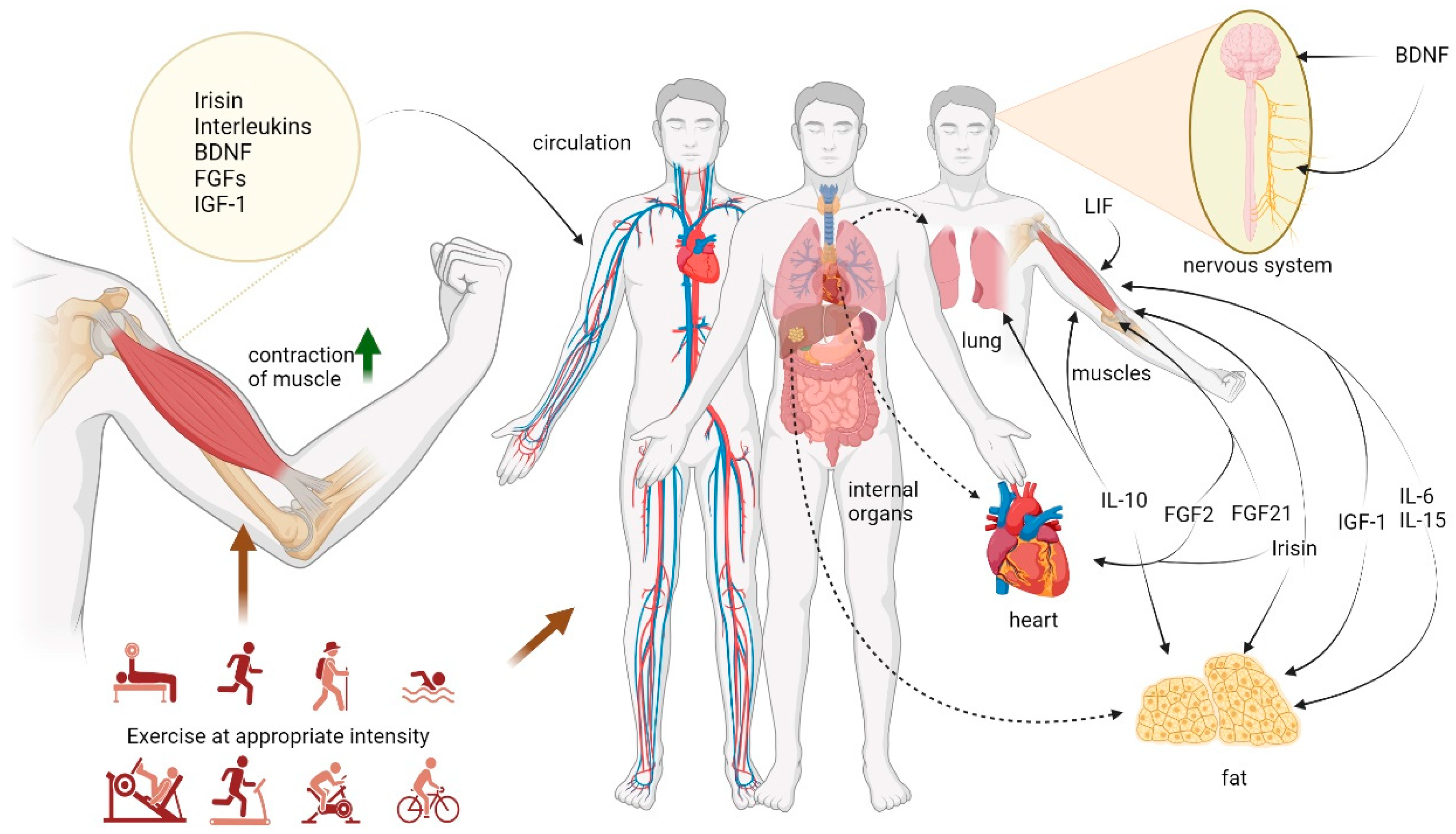 Biomolecules 14 01205 g002