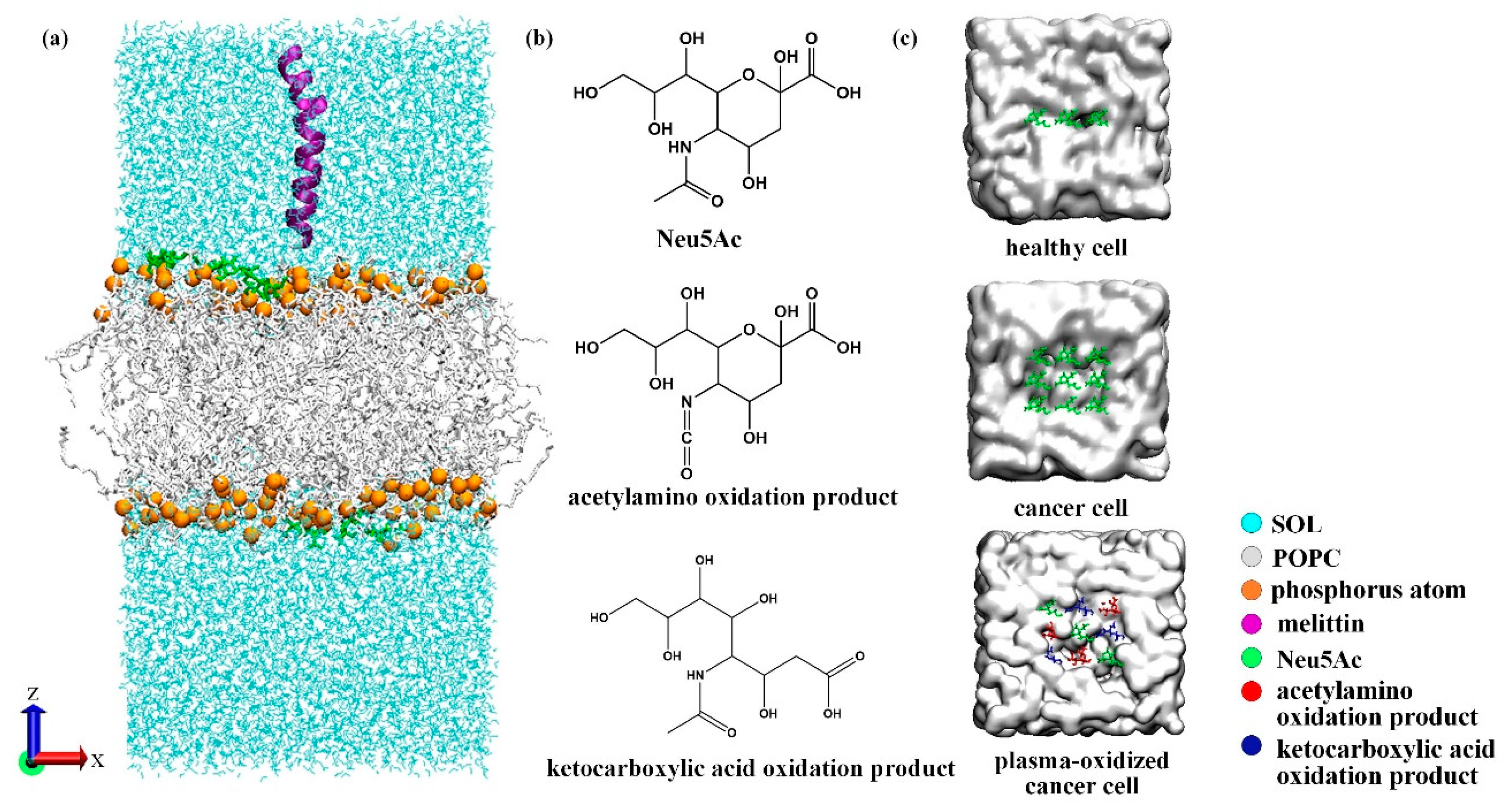 Biomolecules 14 01207 g001