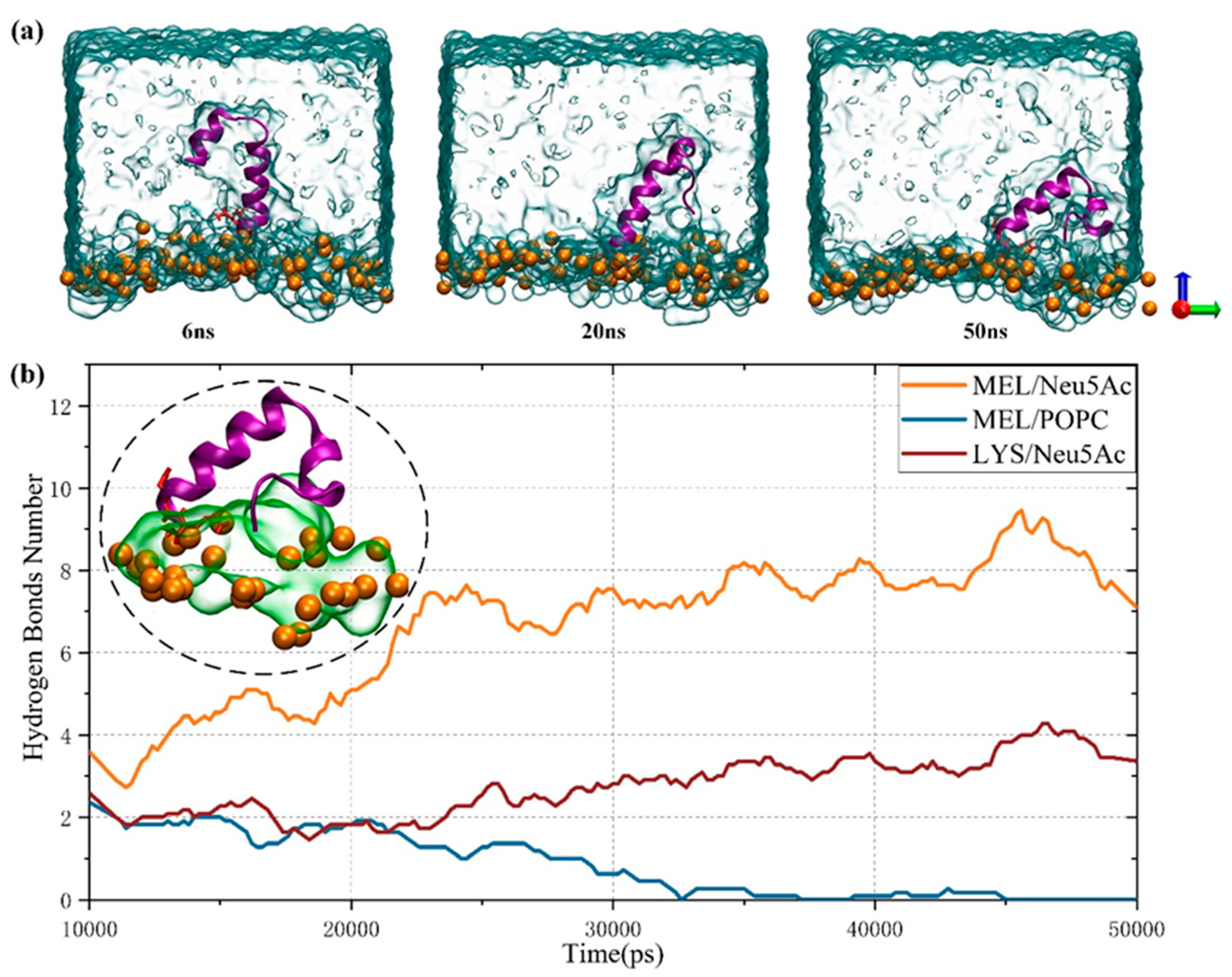 Biomolecules 14 01207 g006