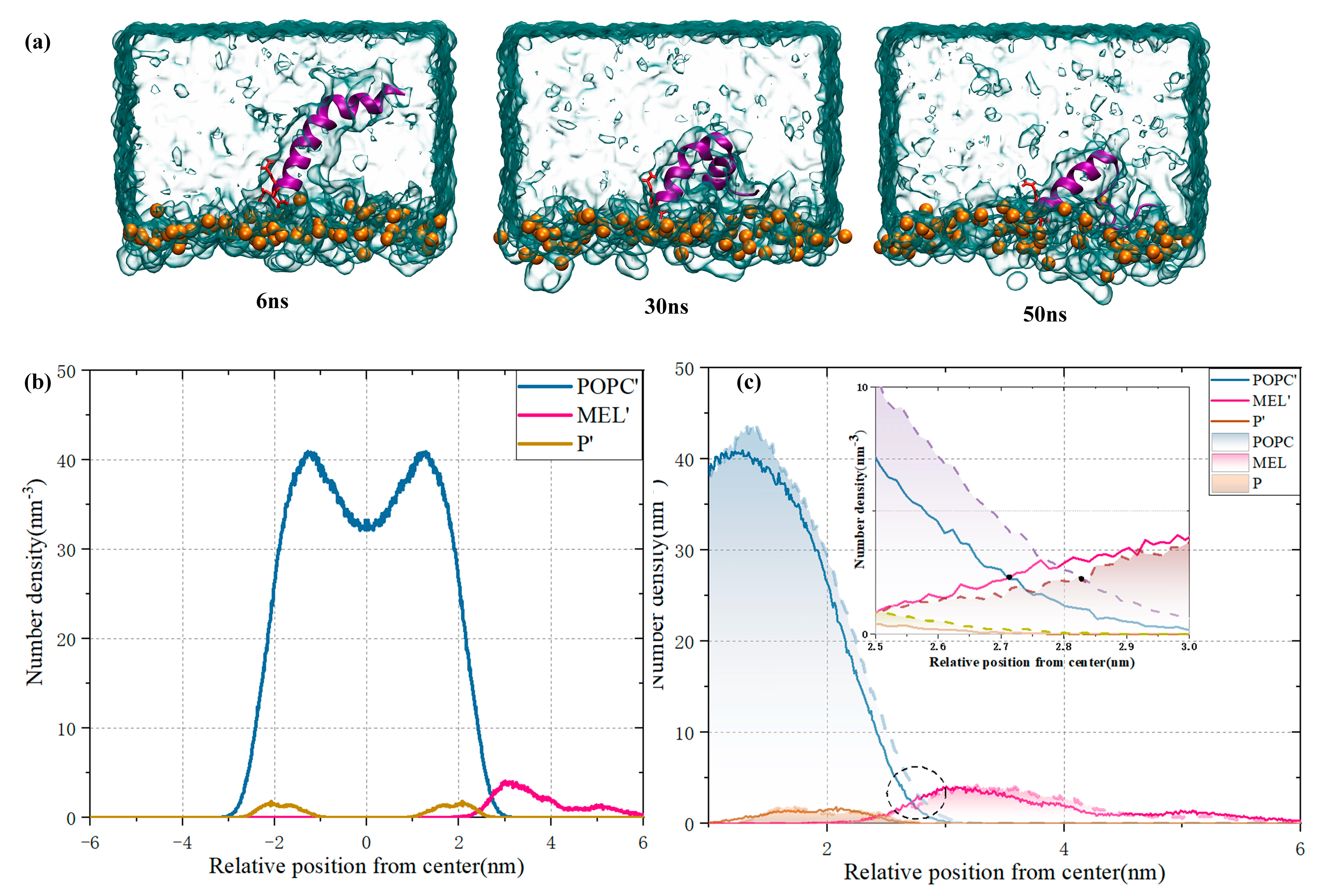 Biomolecules 14 01207 g007