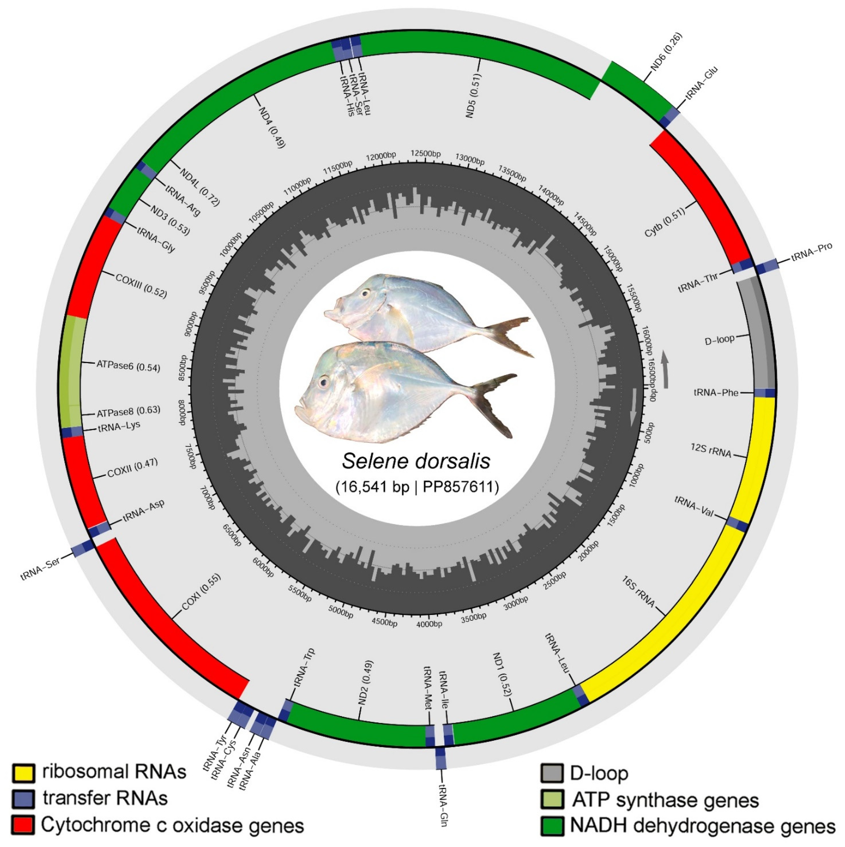 Biomolecules 14 01208 g002