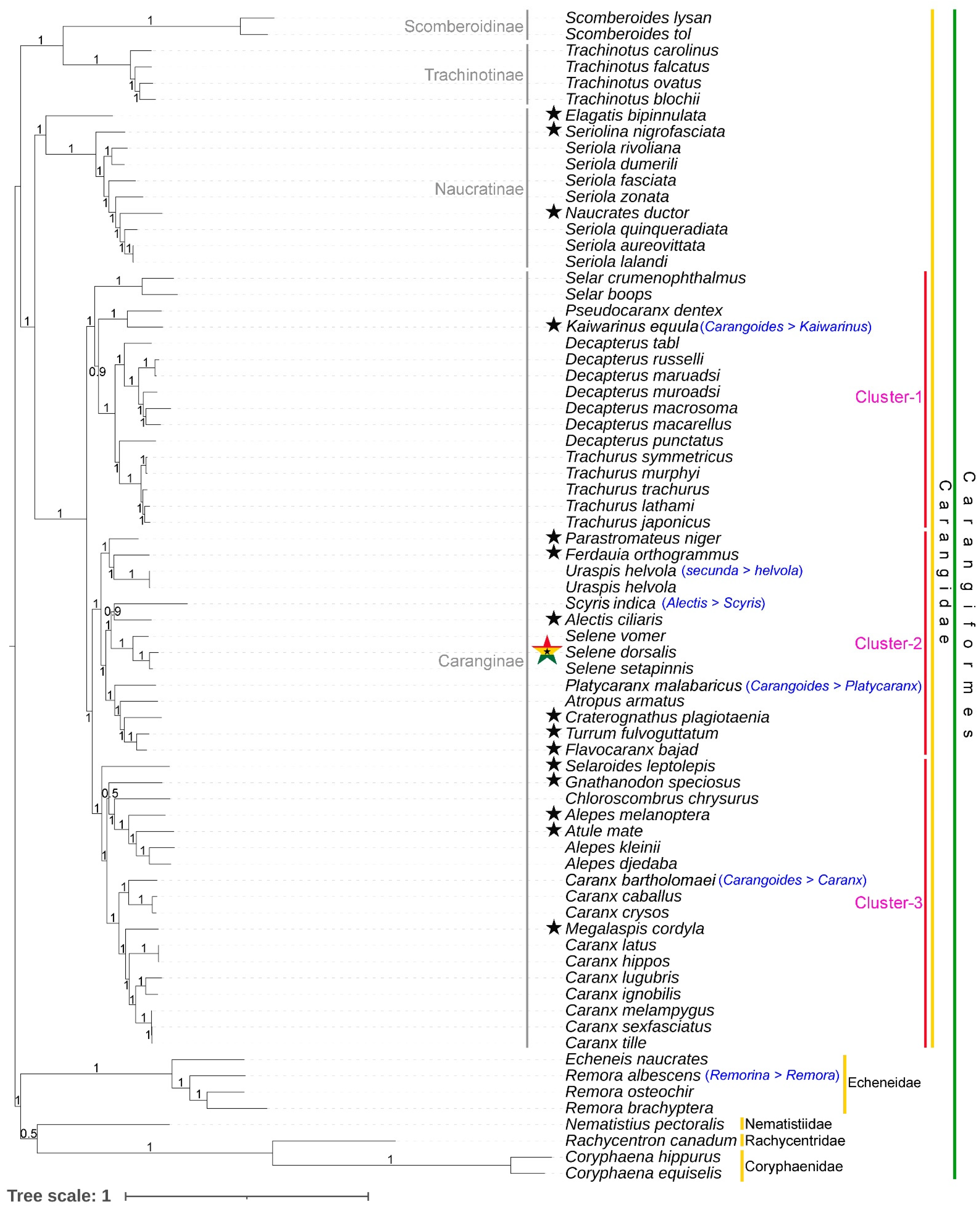 Biomolecules 14 01208 g005