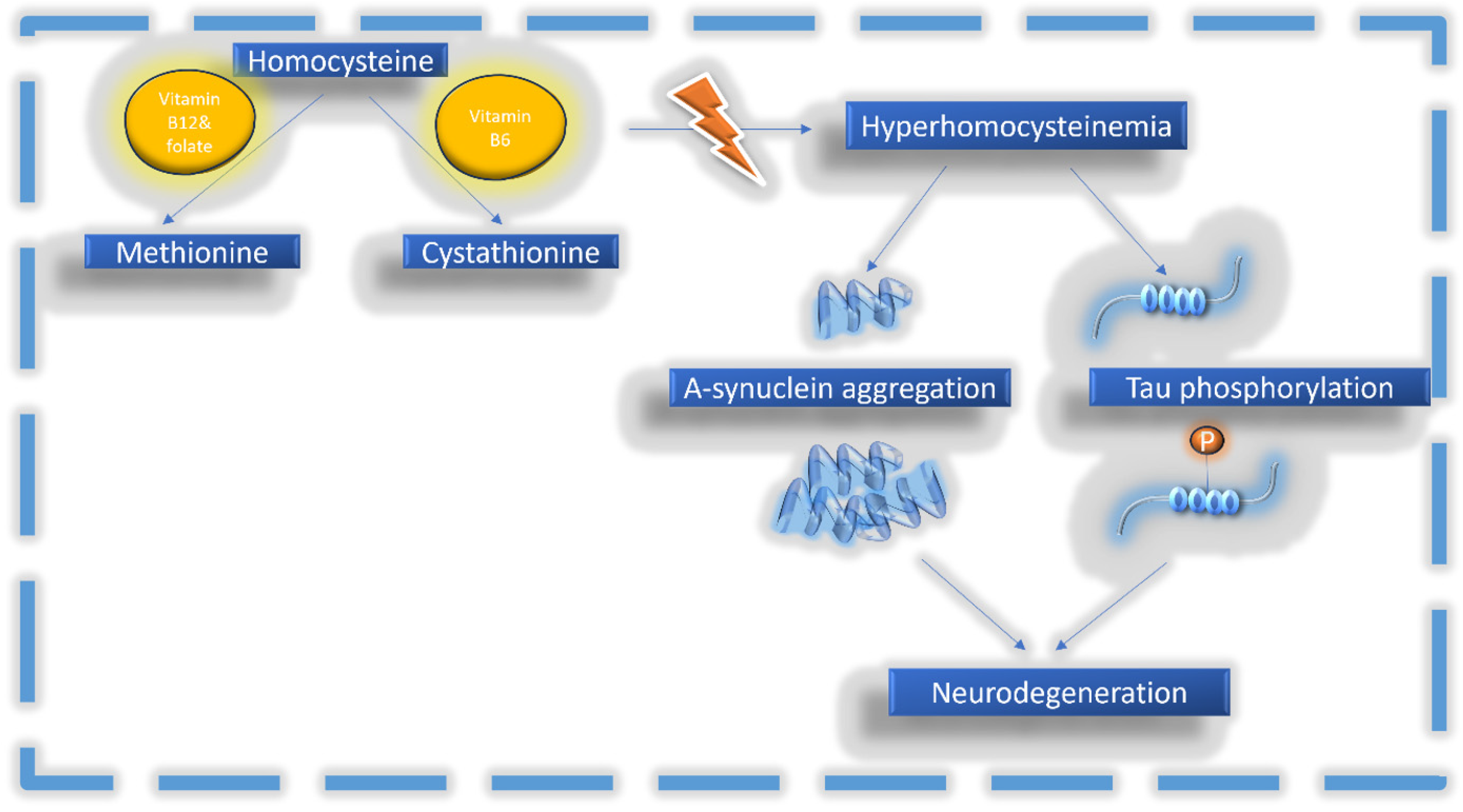 Biomolecules 14 01213 g001