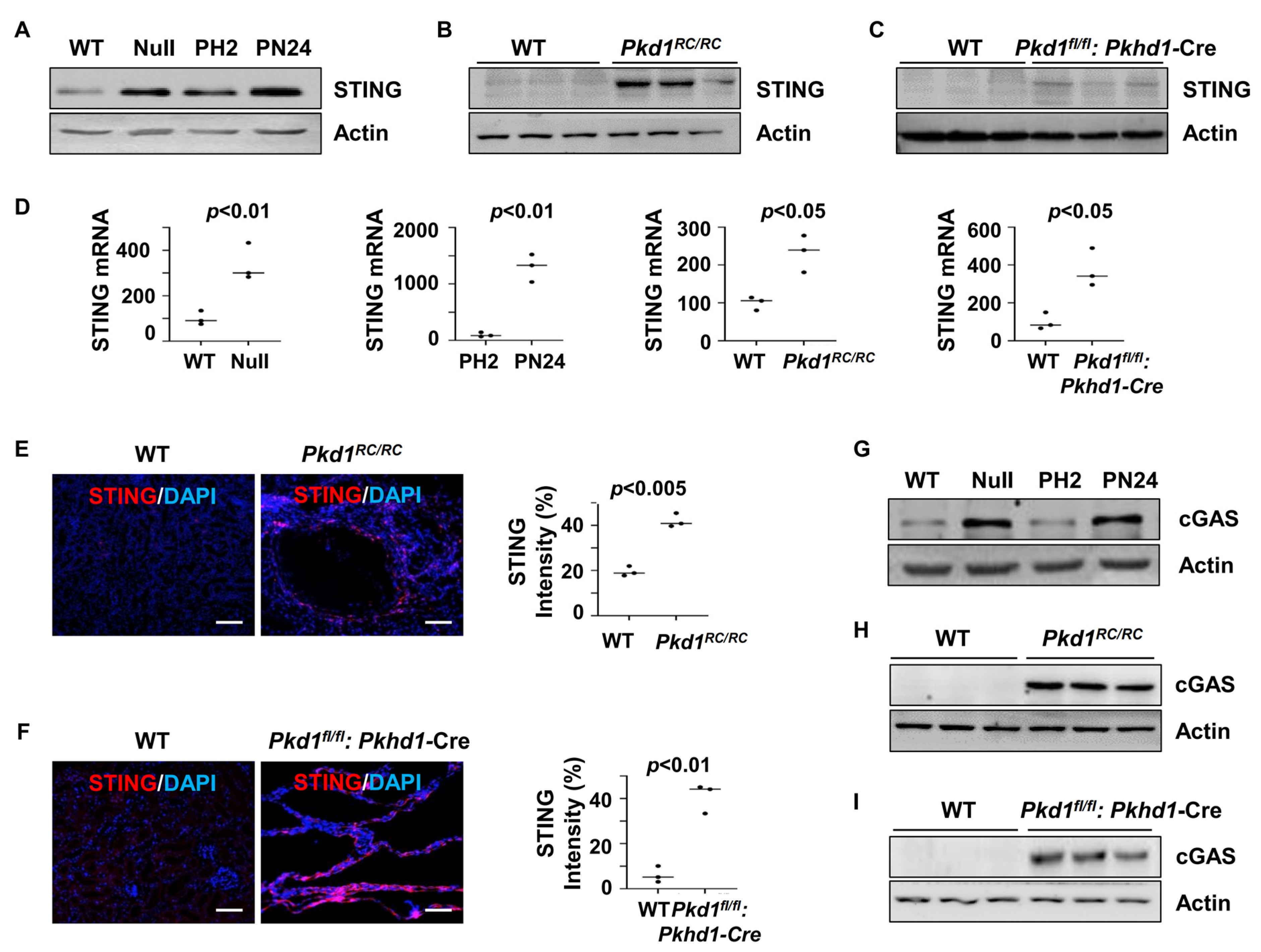 Biomolecules 14 01215 g001