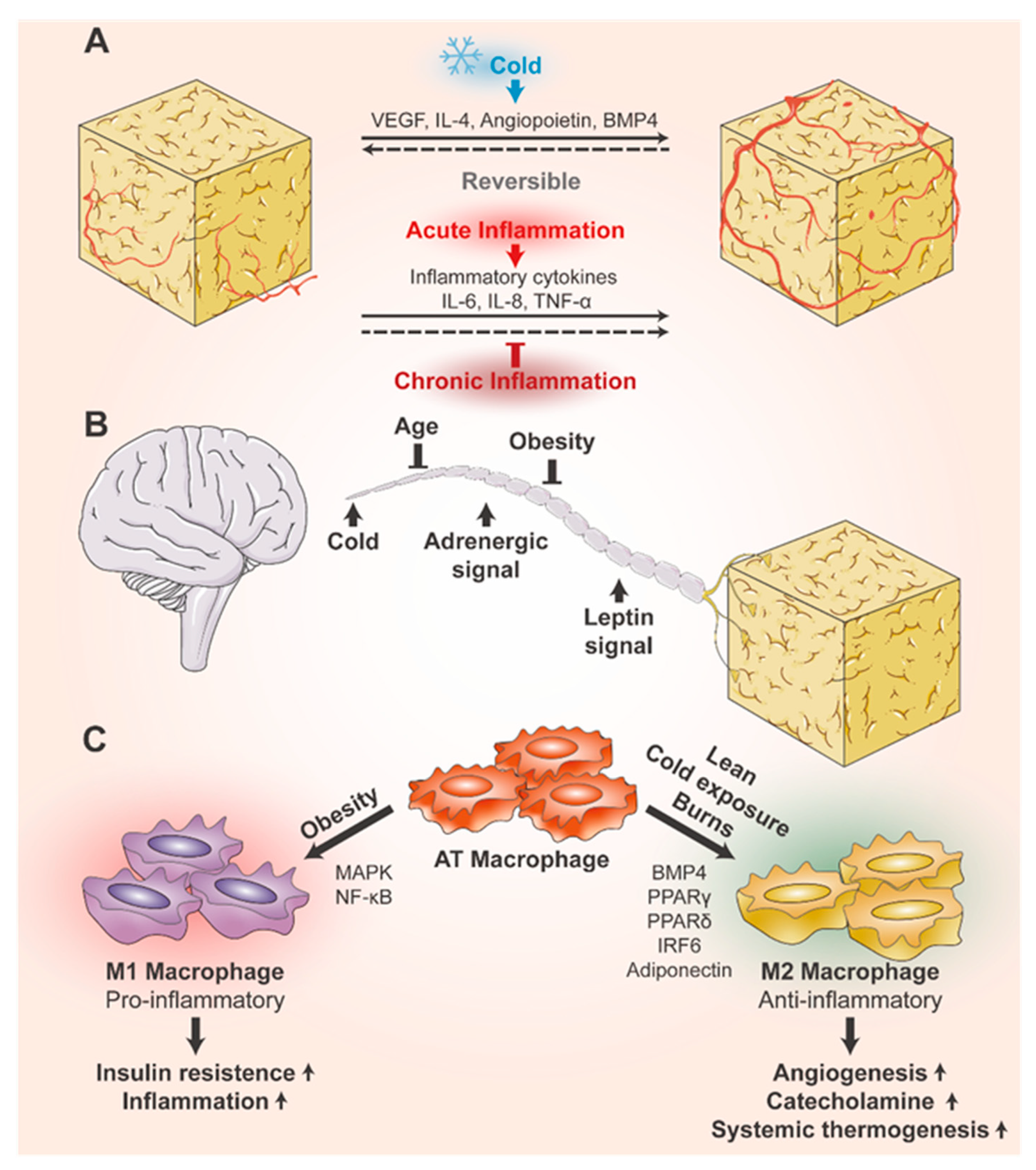 Biomolecules 14 01223 g002