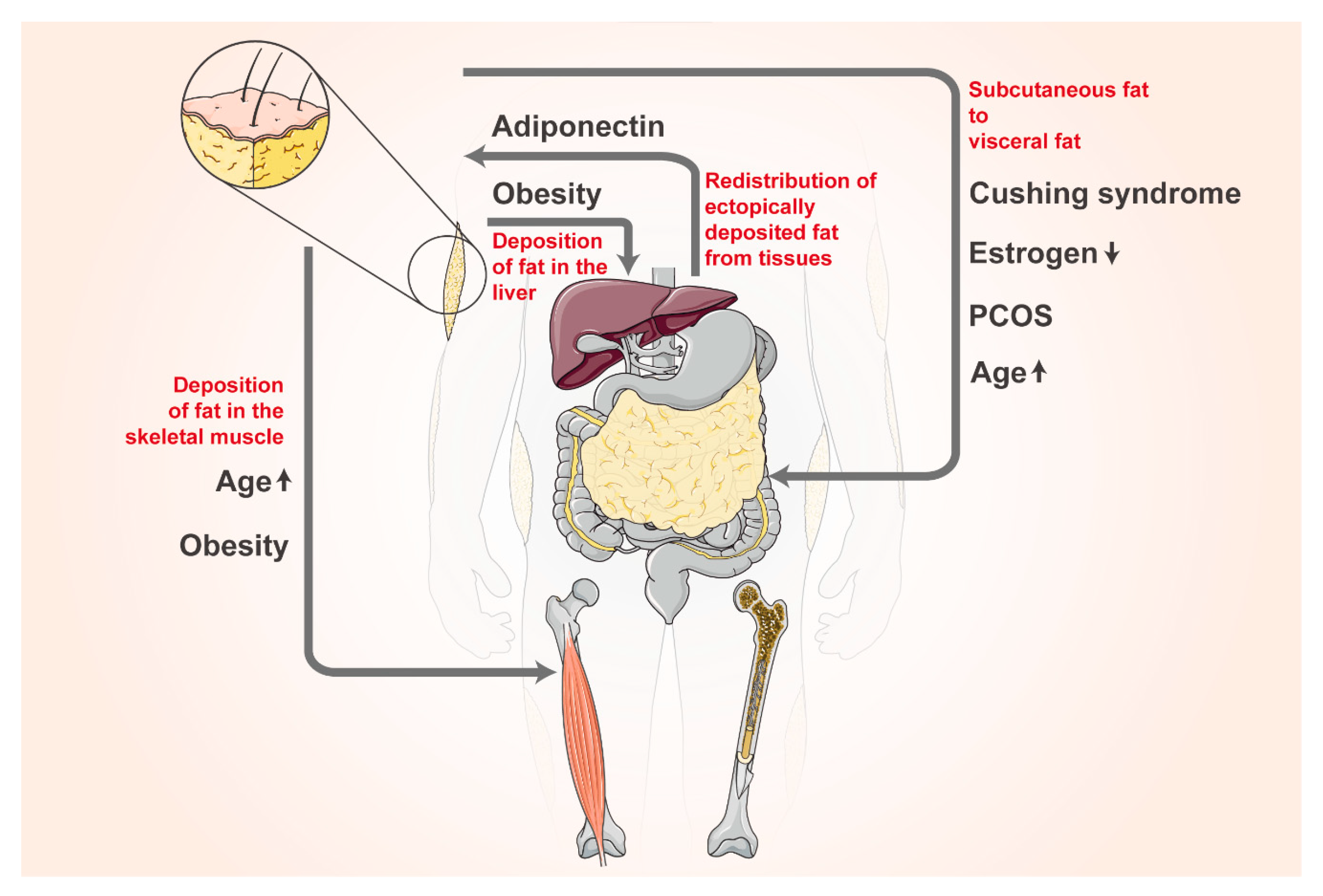 Biomolecules 14 01223 g003