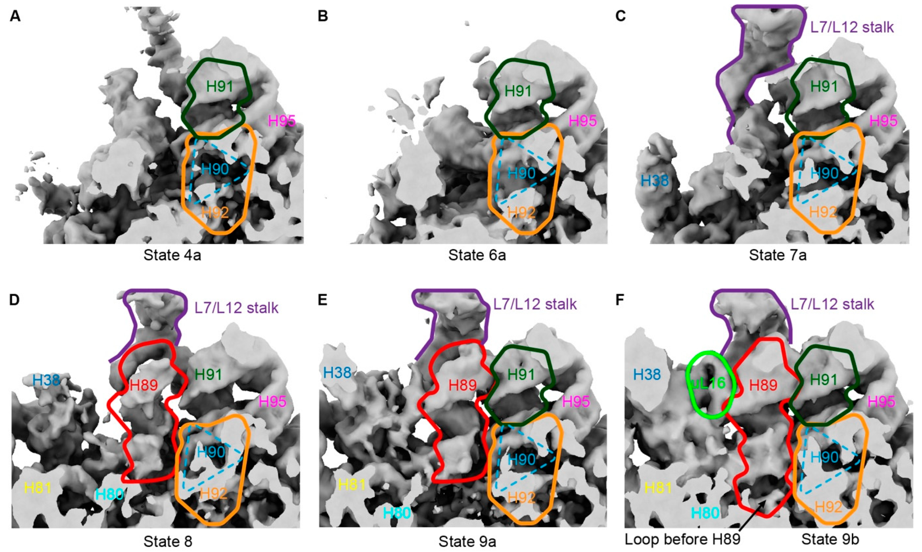 Biomolecules 14 01225 g004