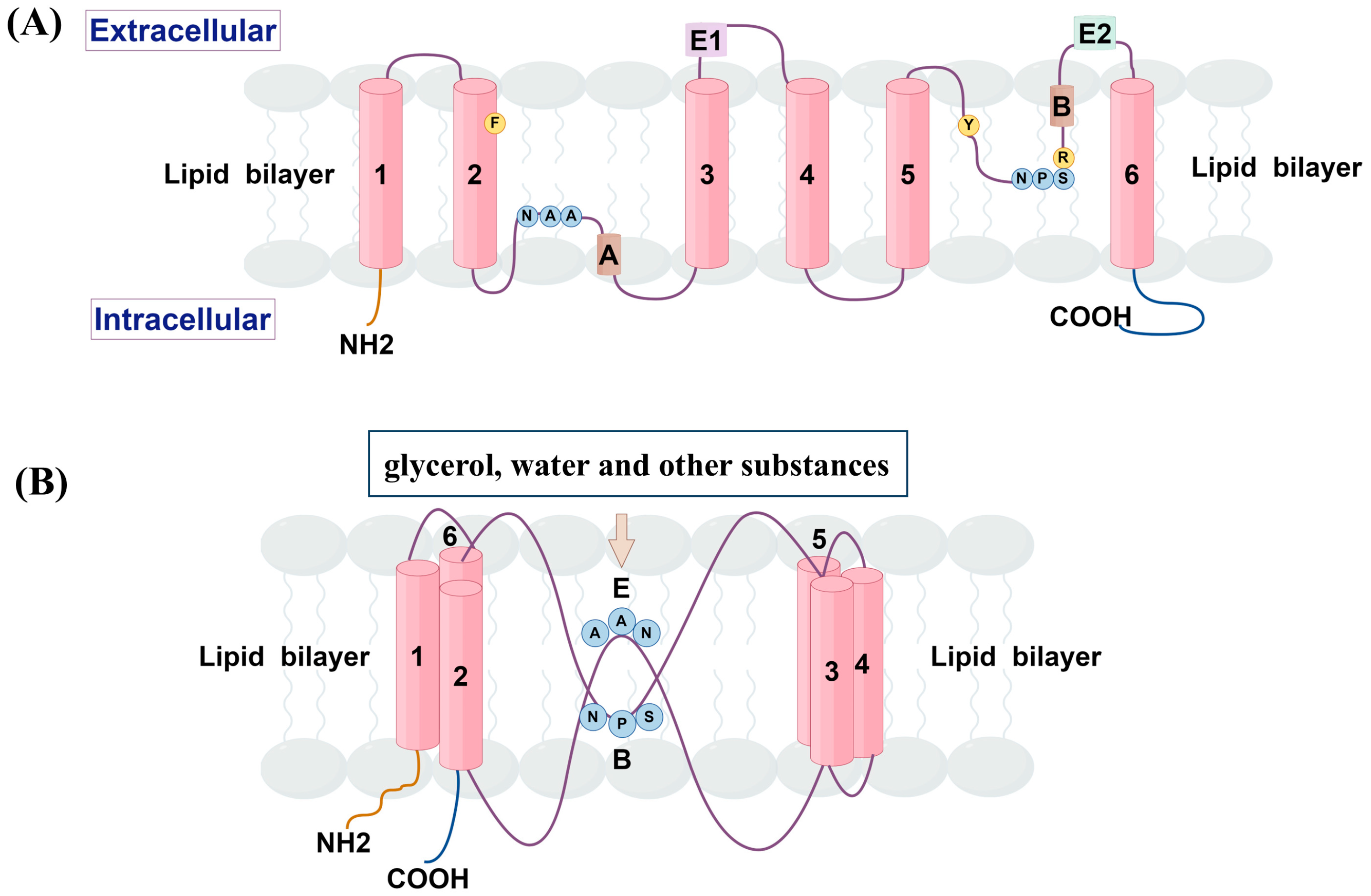 Biomolecules 14 01228 g001