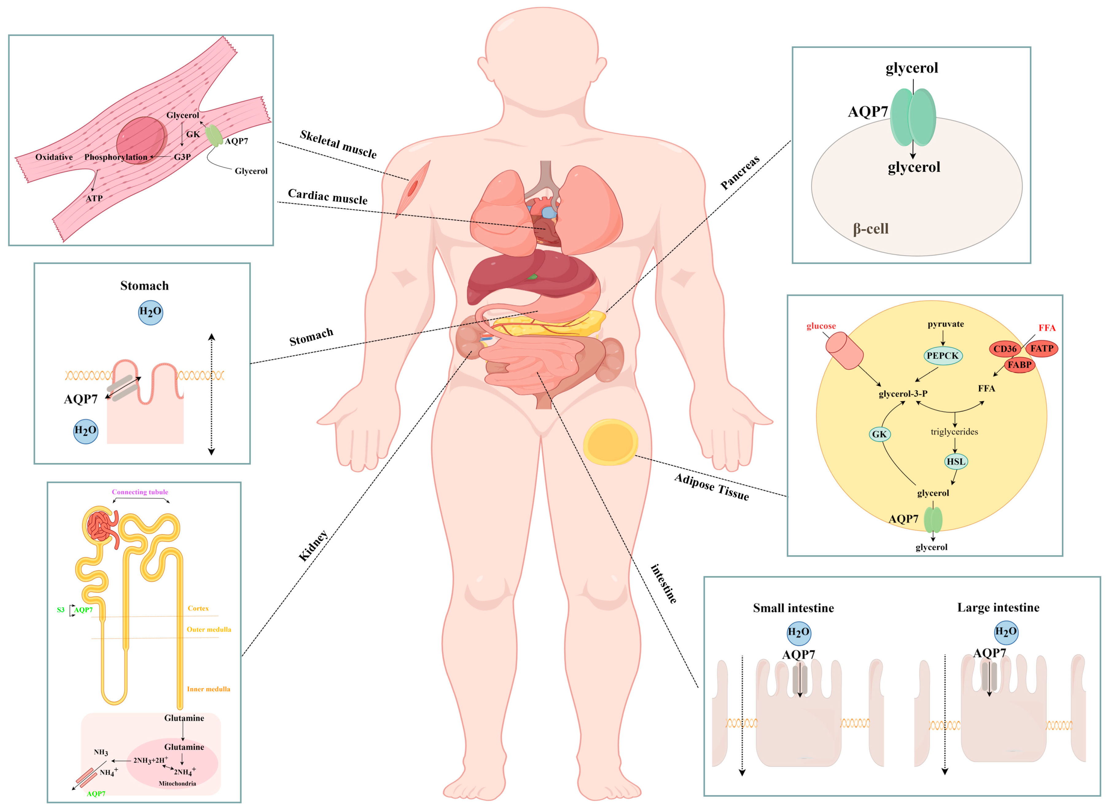Biomolecules 14 01228 g002
