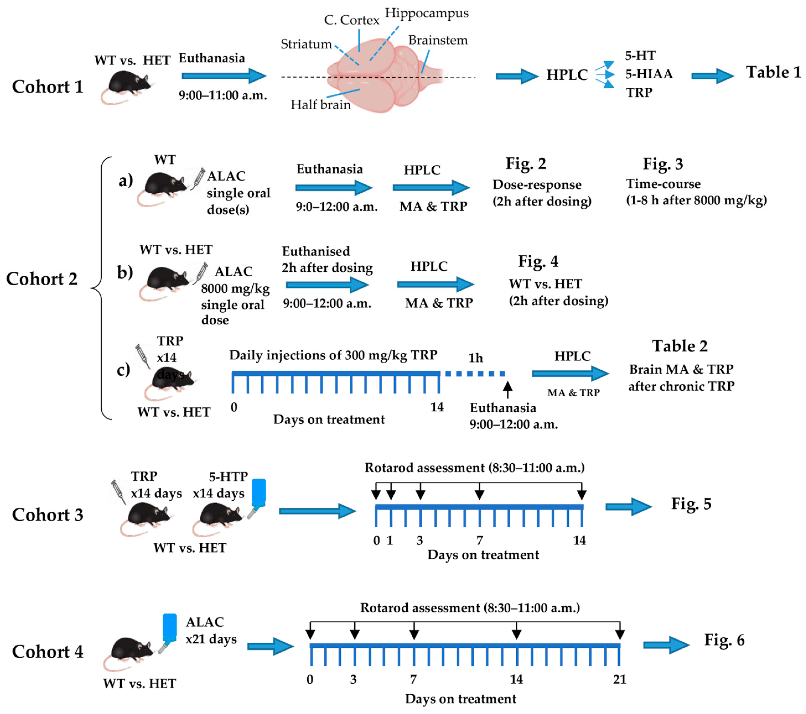 Biomolecules 14 01230 g001 Biomolecules 14 01230 g001