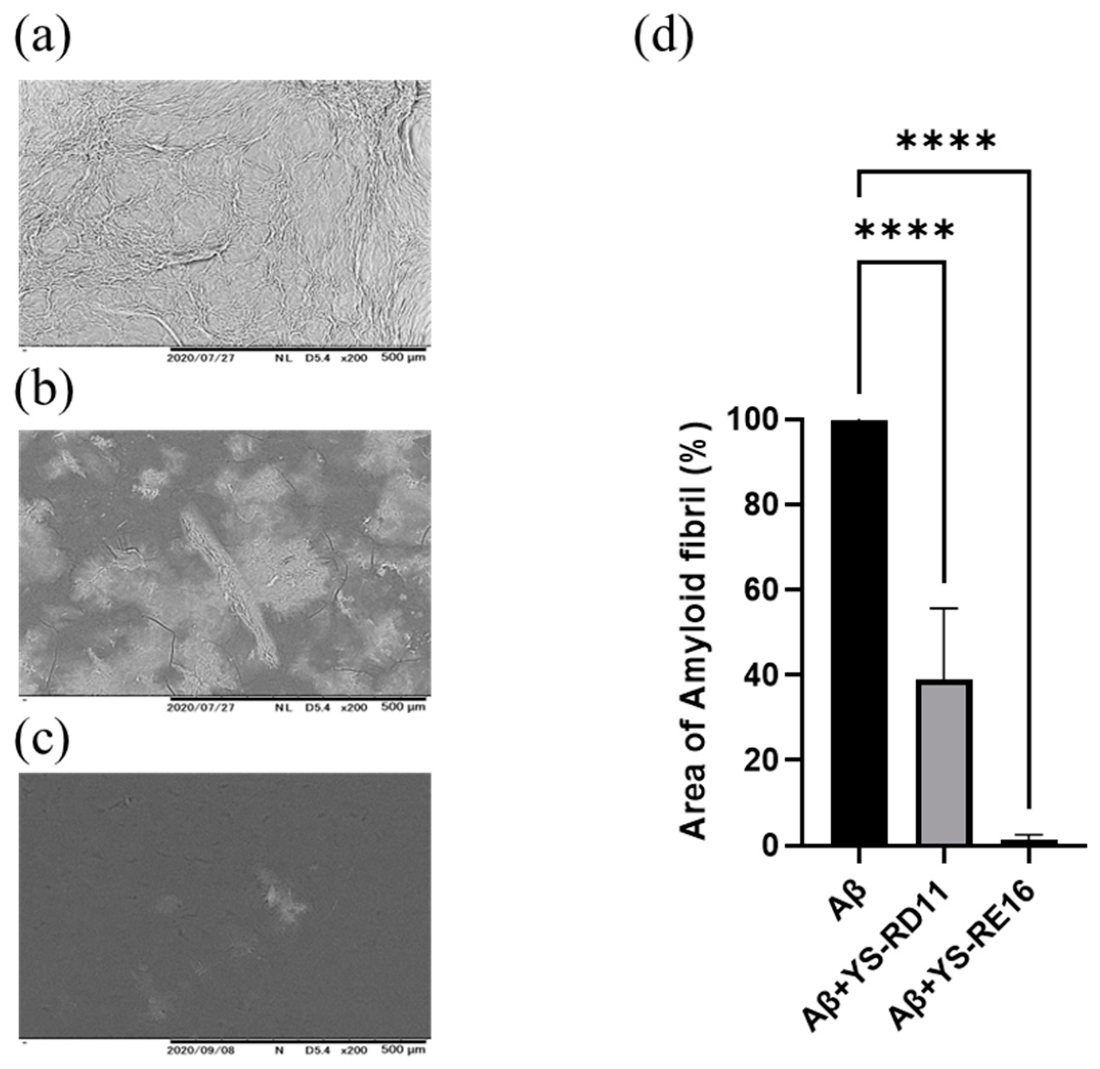 Biomolecules 14 01234 g003