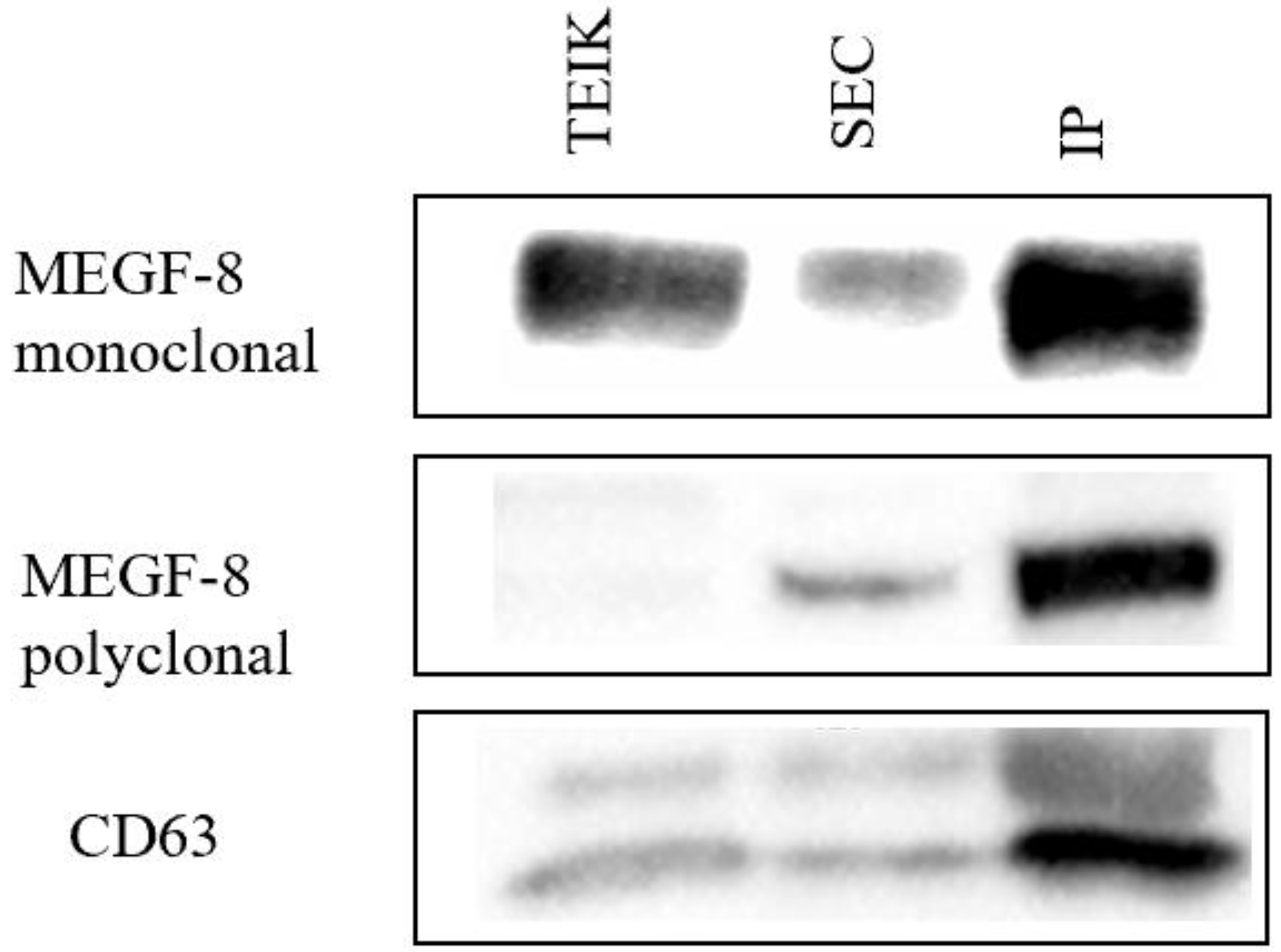 Biomolecules 14 01247 g003