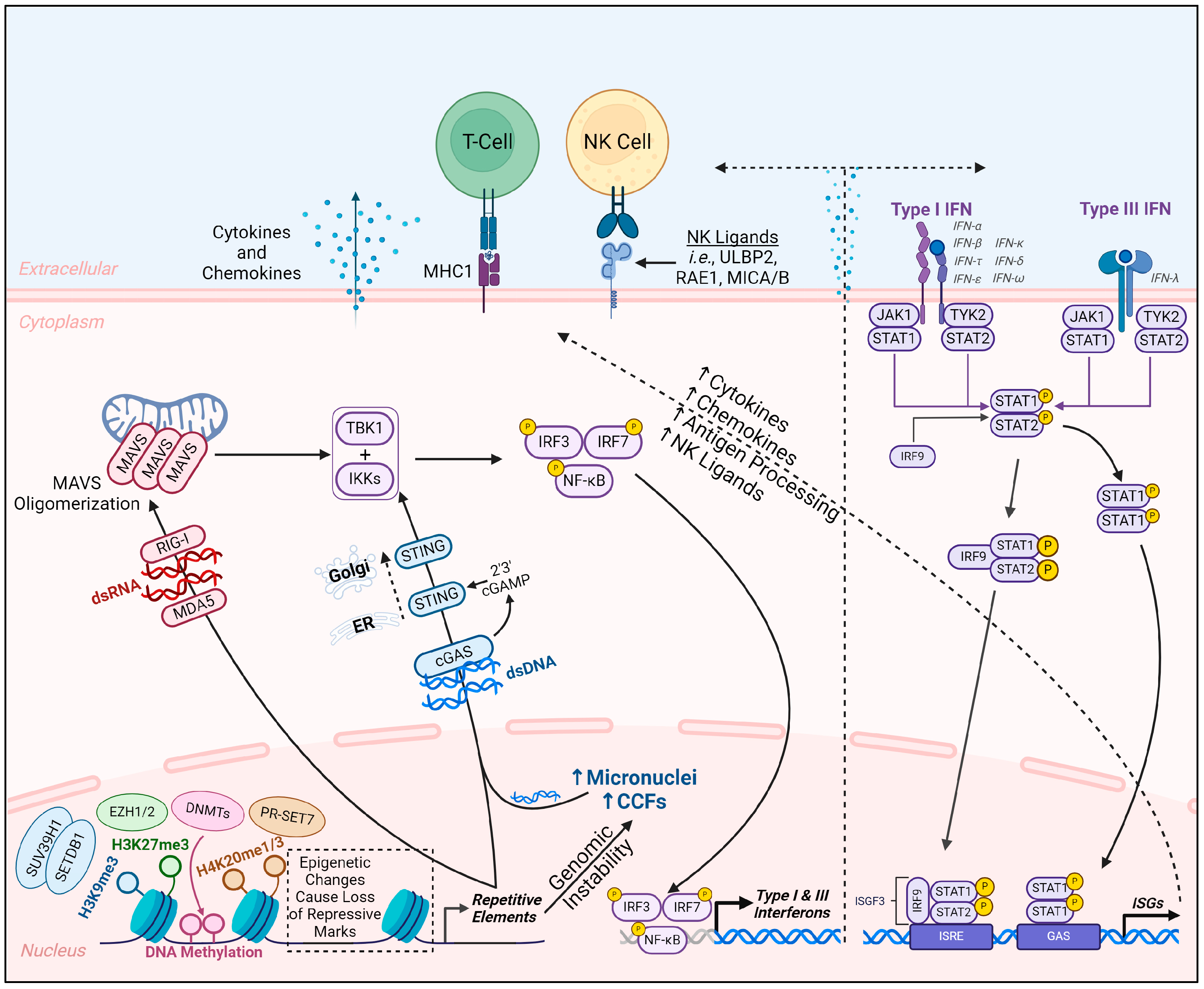 Biomolecules 14 01250 g001