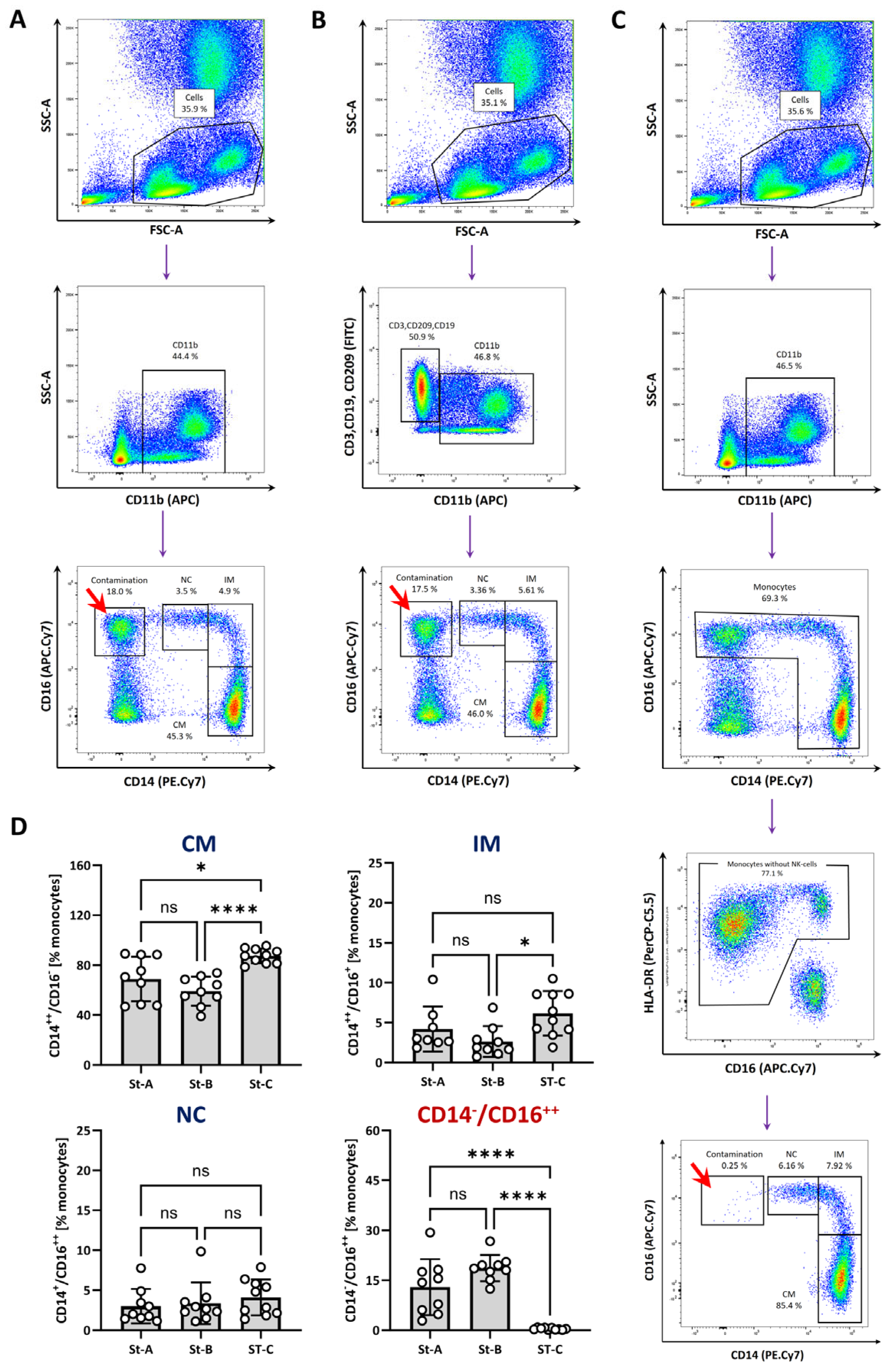 Biomolecules 14 01251 g001