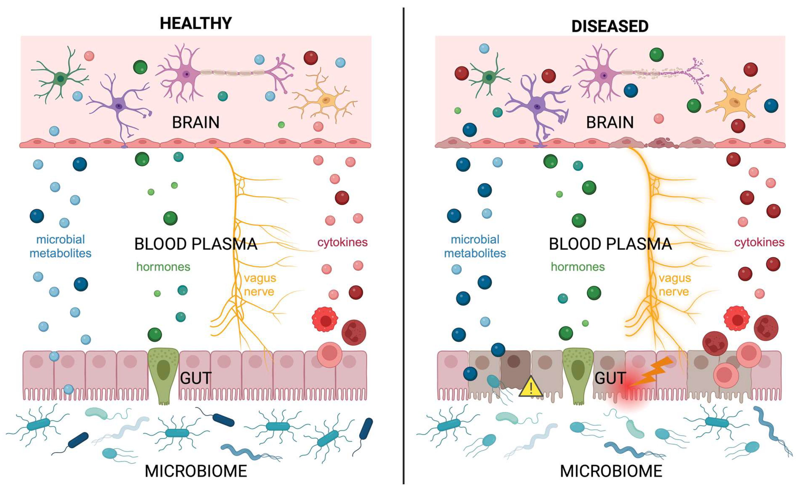 Biomolecules 14 01254 g002