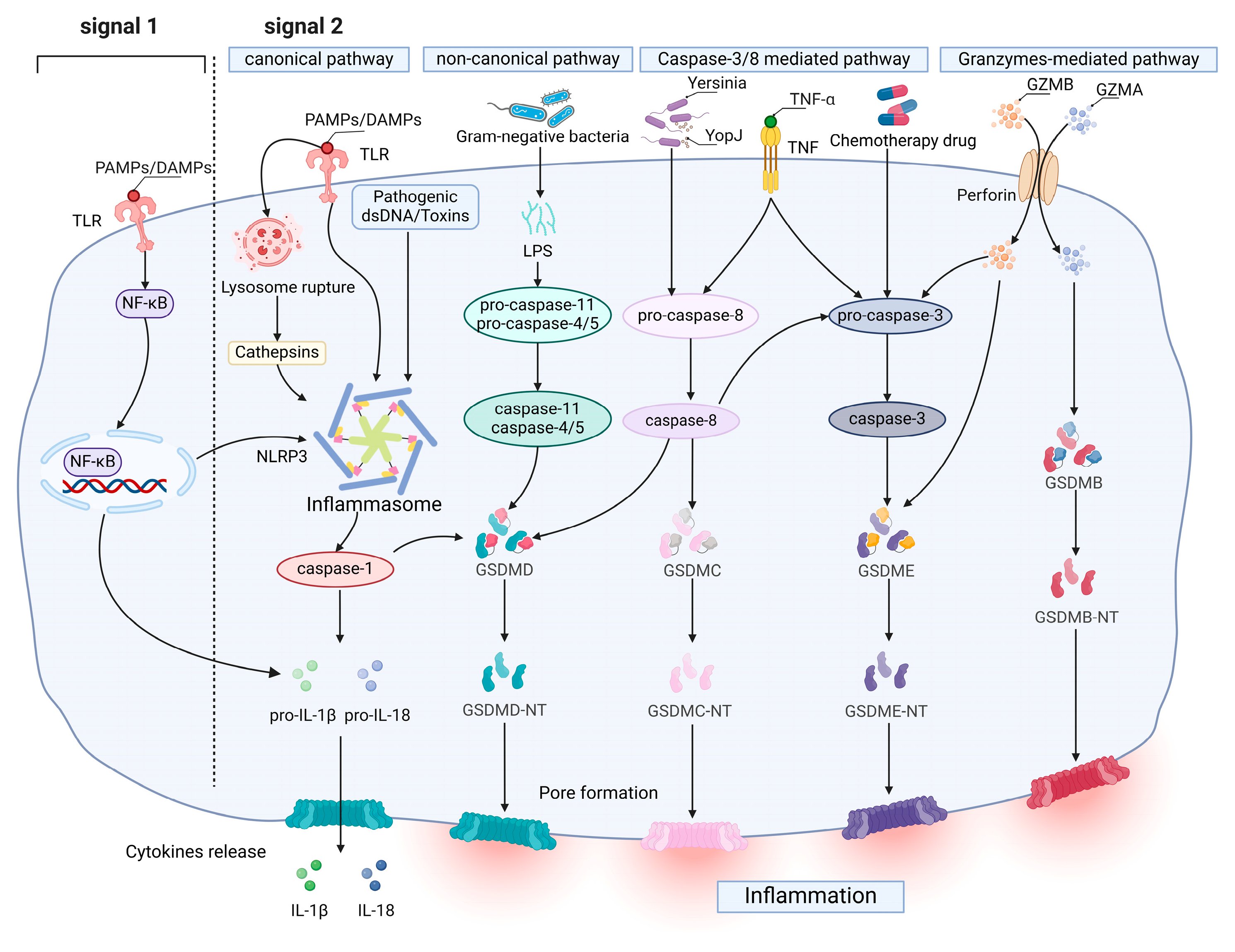 Biomolecules 14 01255 g001