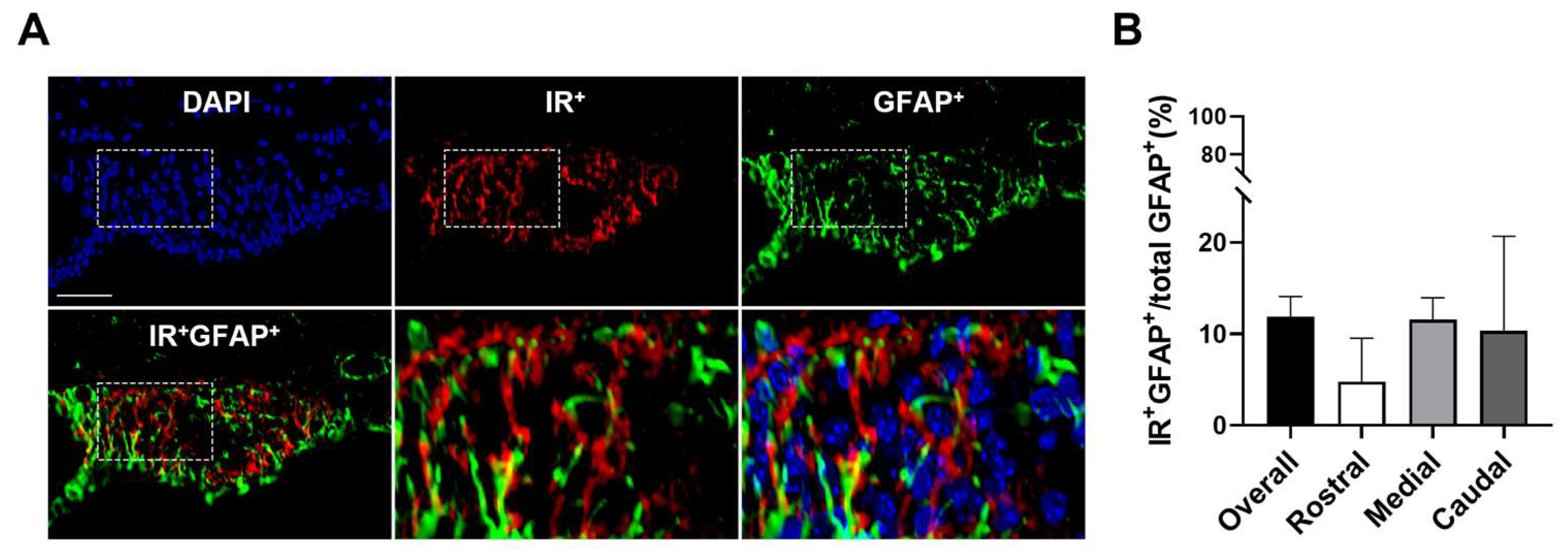 Biomolecules 14 01256 g002
