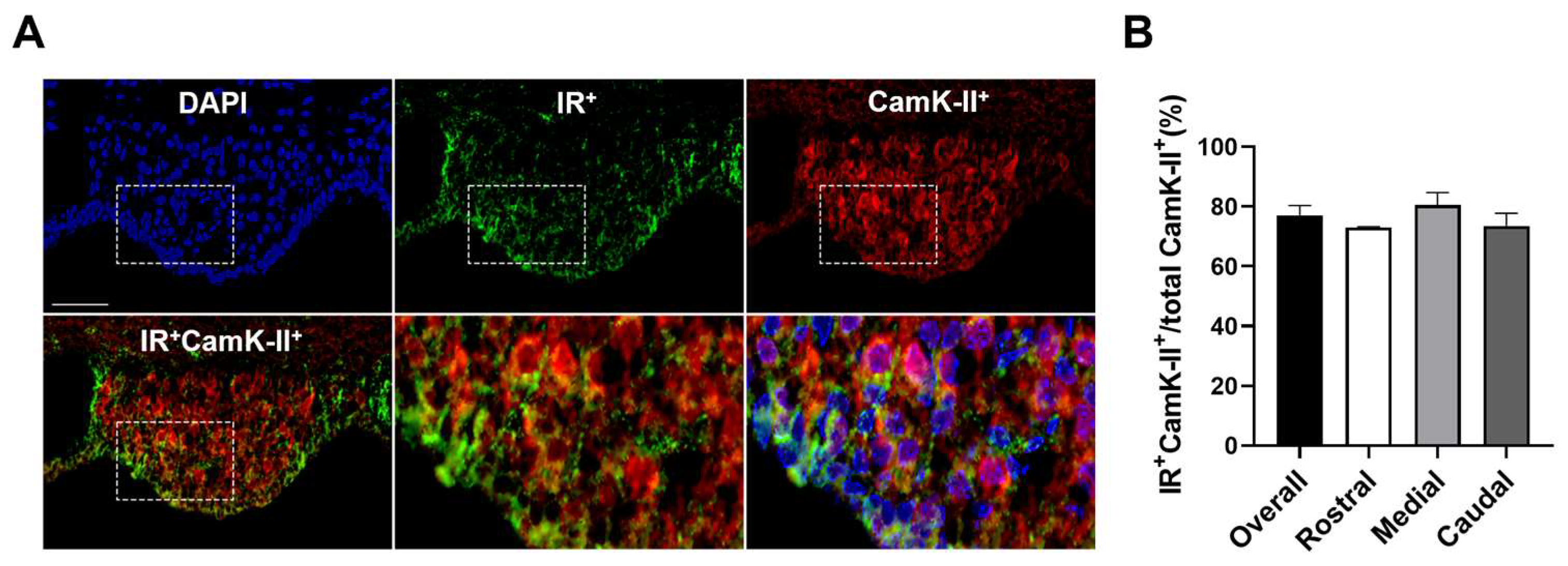 Biomolecules 14 01256 g004