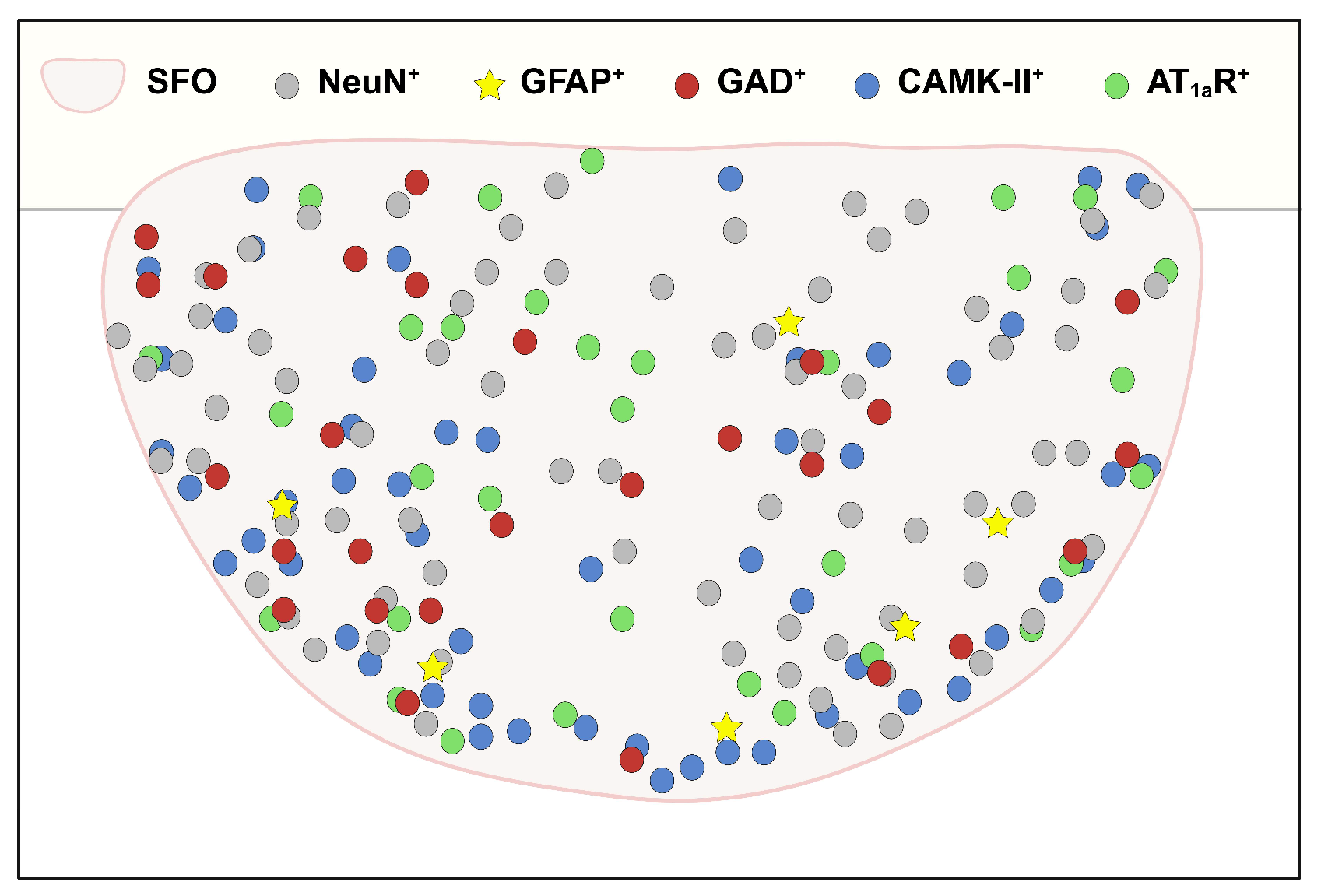 Biomolecules 14 01256 g006