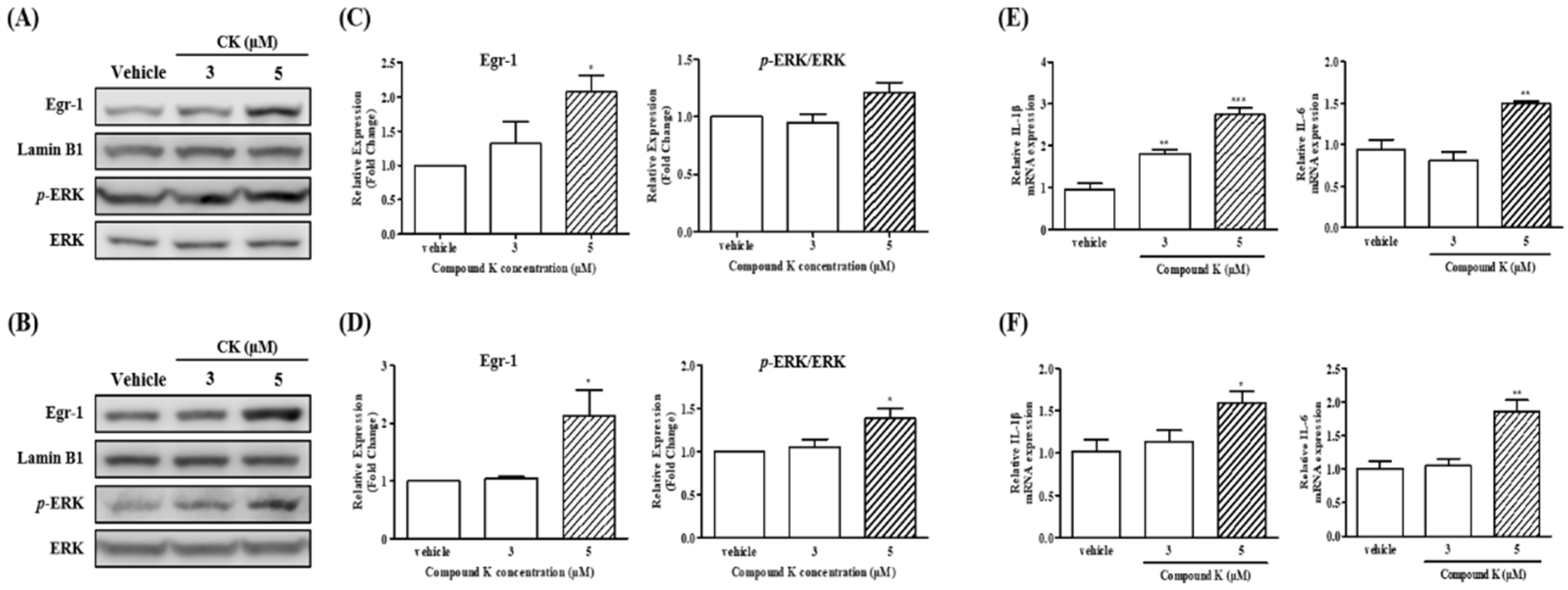Biomolecules 14 01257 g003