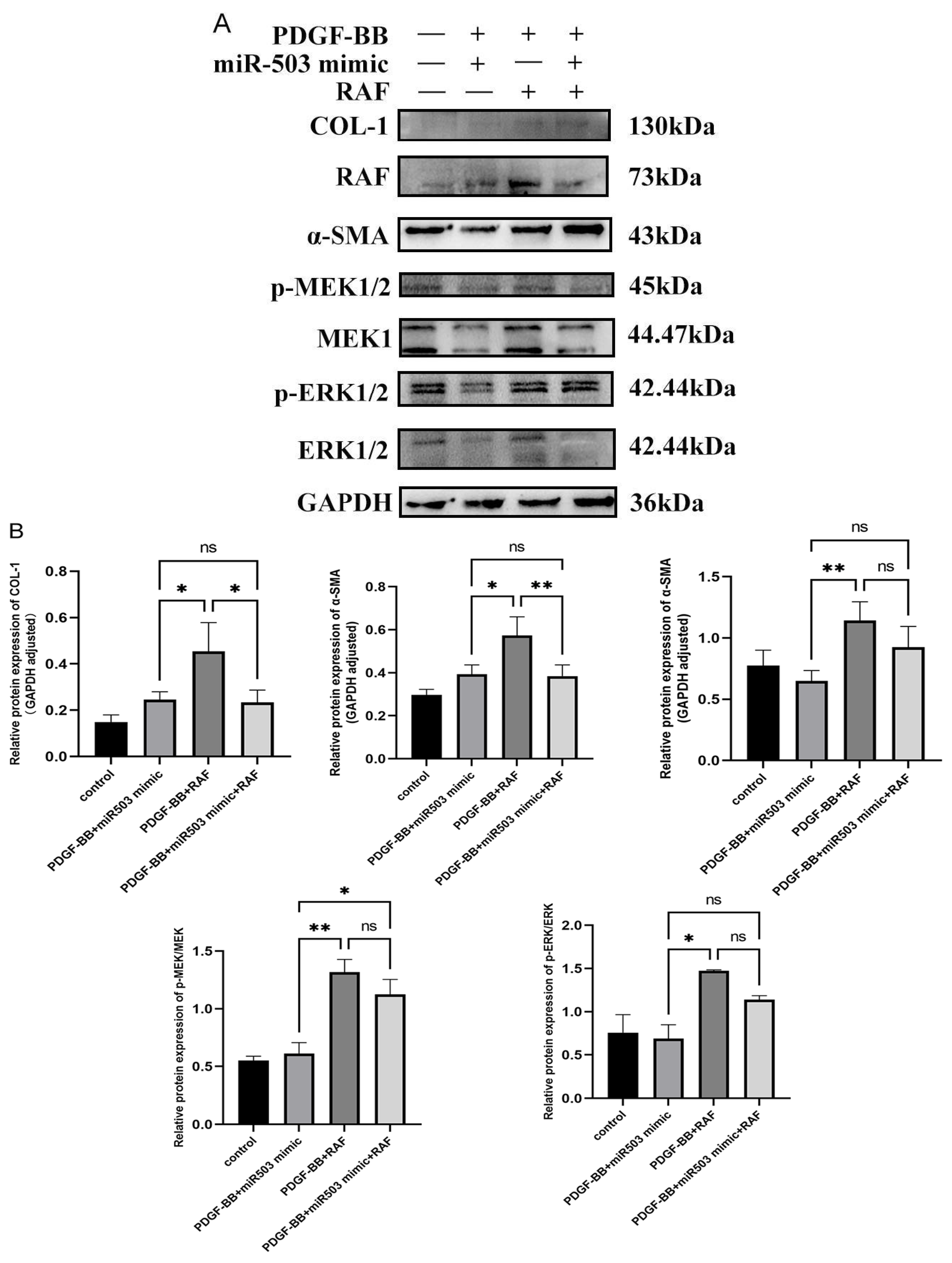Biomolecules 14 01259 g005a