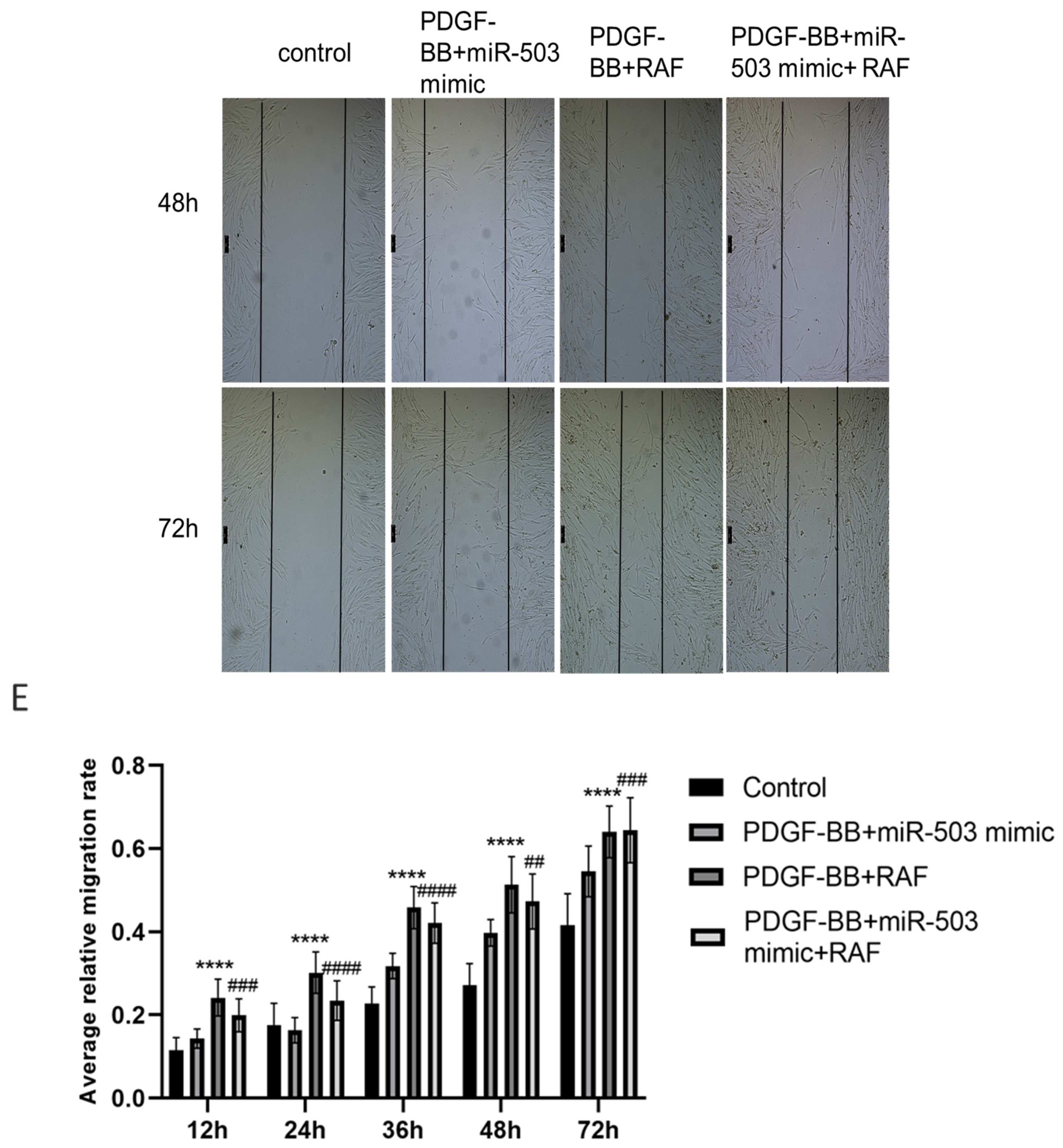 Biomolecules 14 01259 g005c