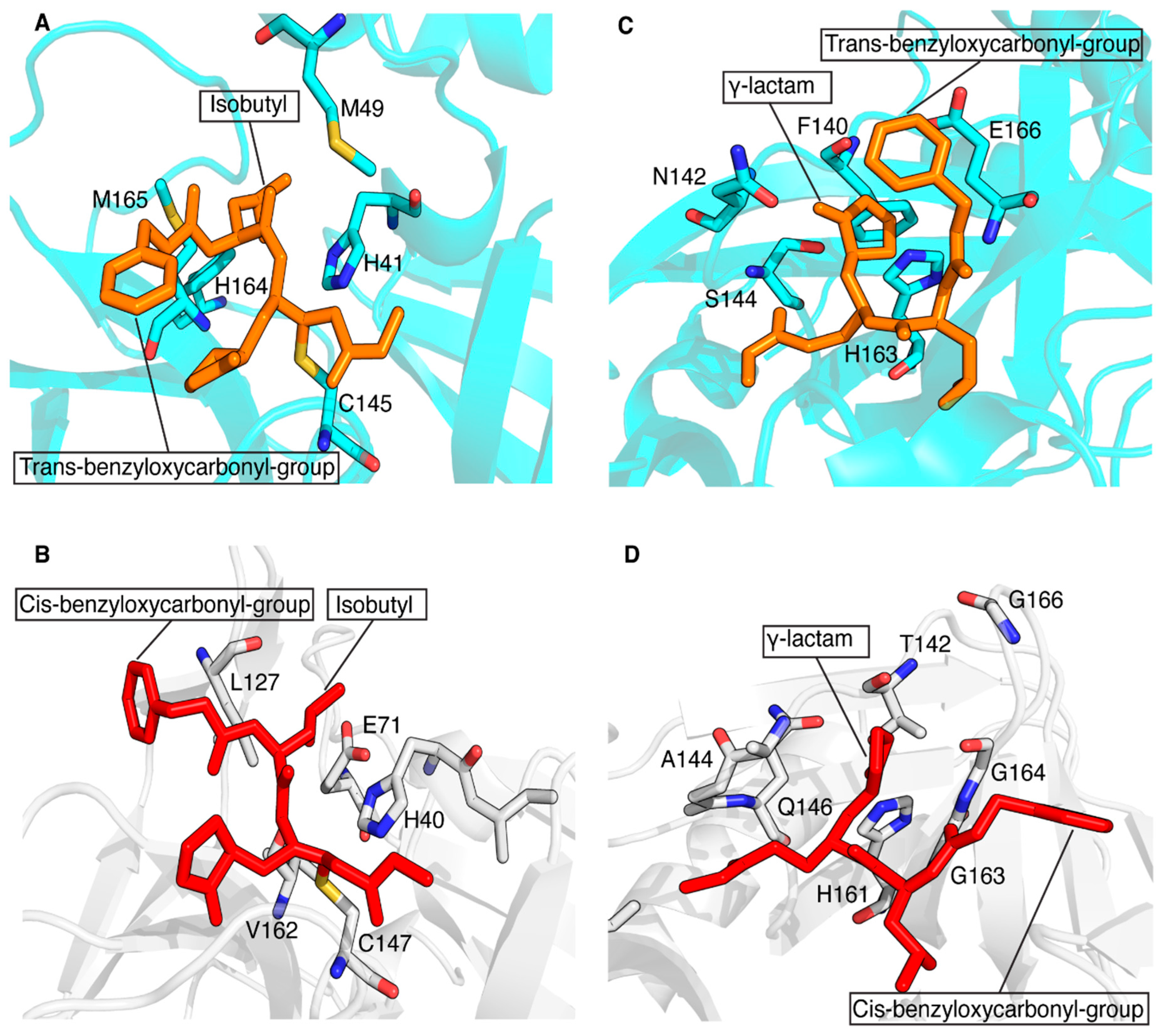Biomolecules 14 01260 g007