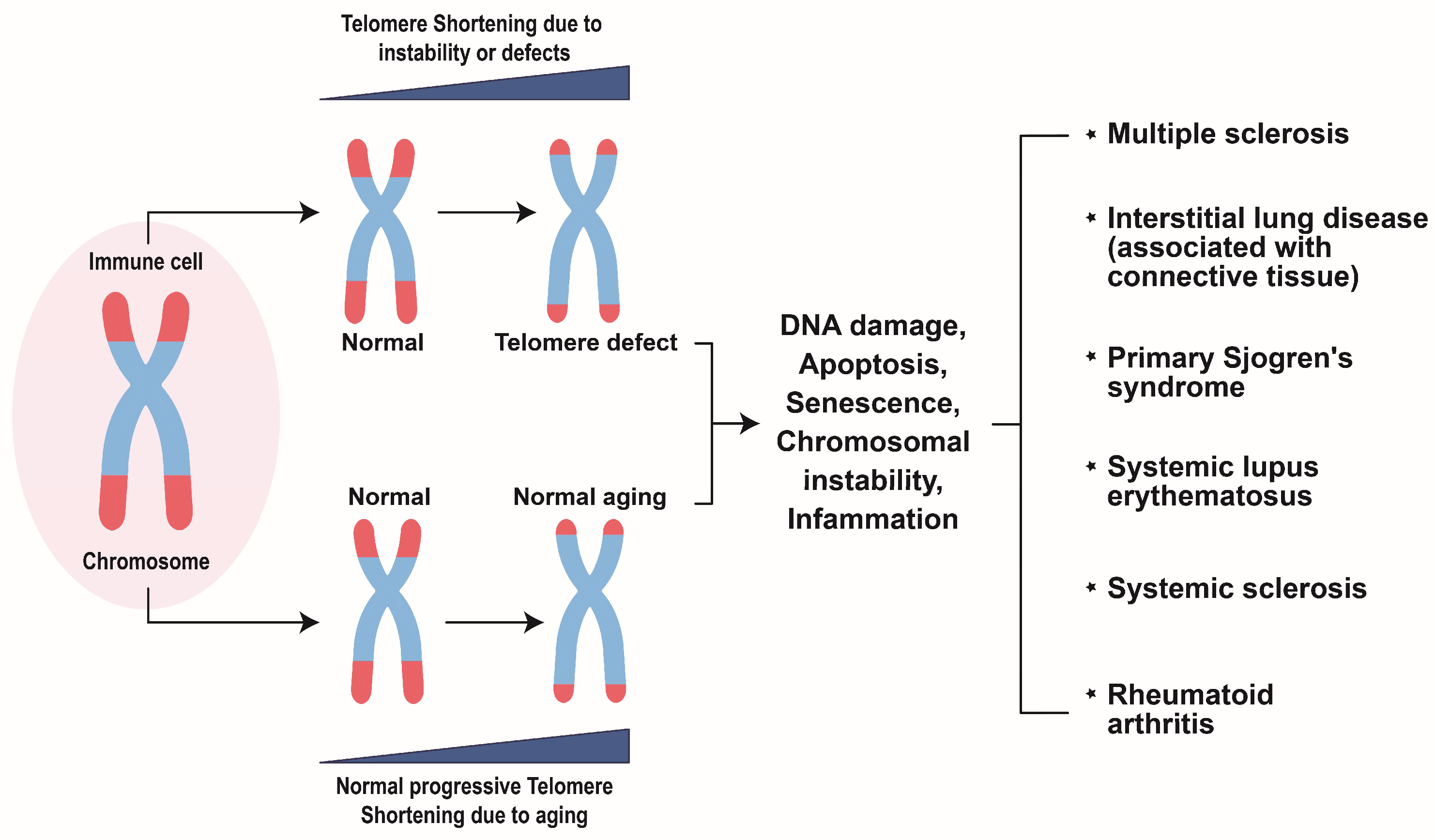 Biomolecules 14 01261 g002