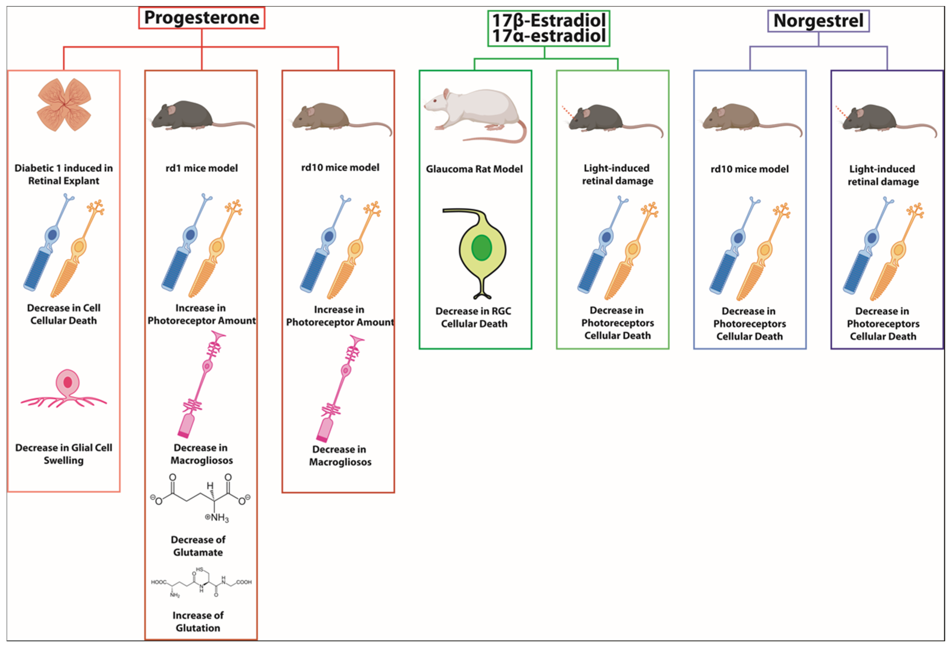 Biomolecules 14 01262 g002