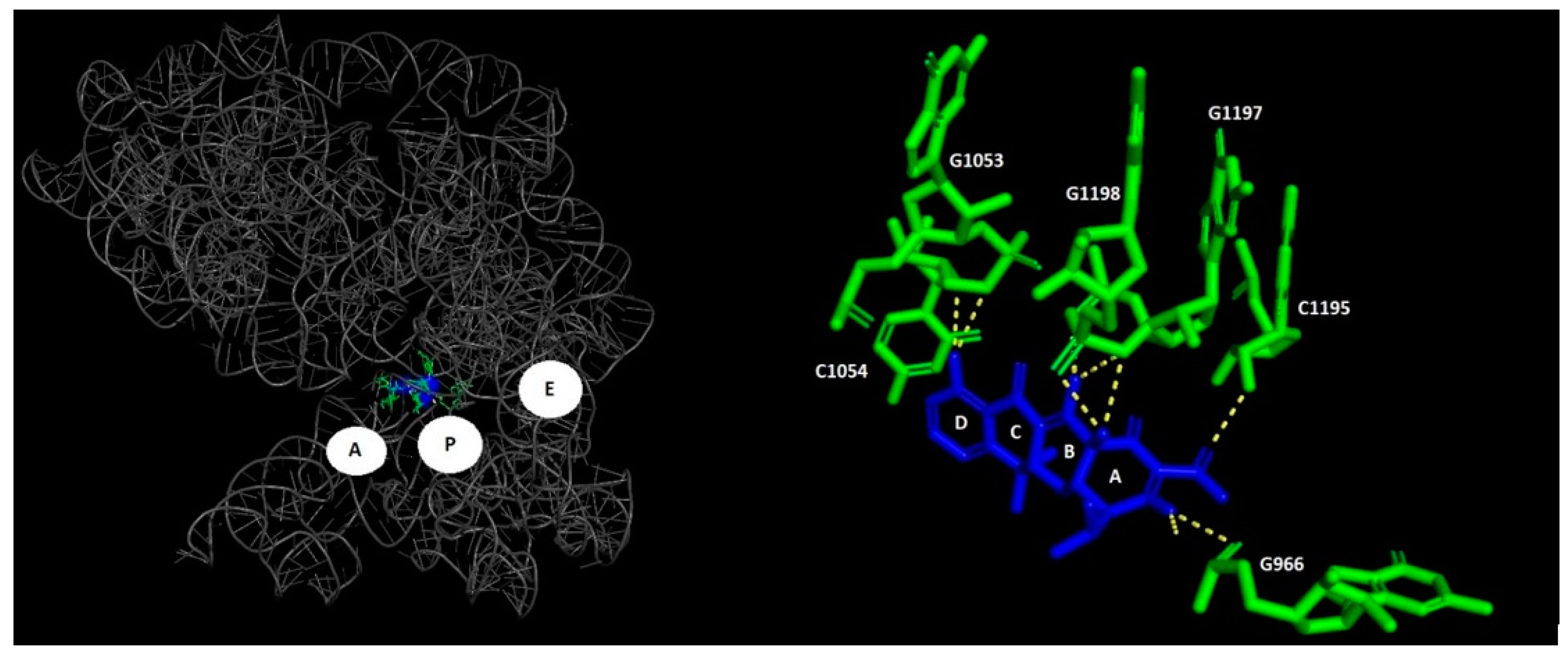 Biomolecules 14 01263 g003