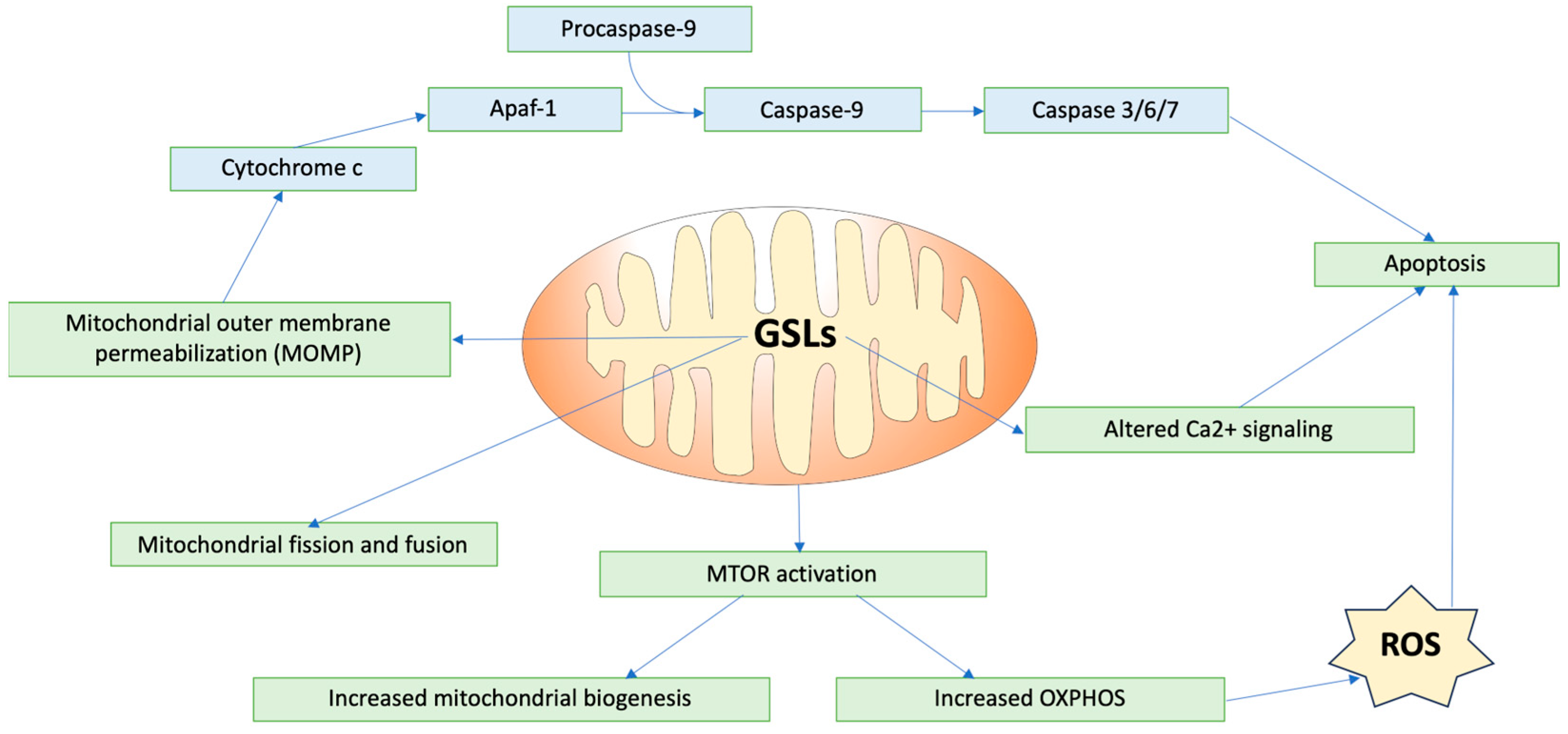Biomolecules 14 01265 g002 Biomolecules 14 01265 g002