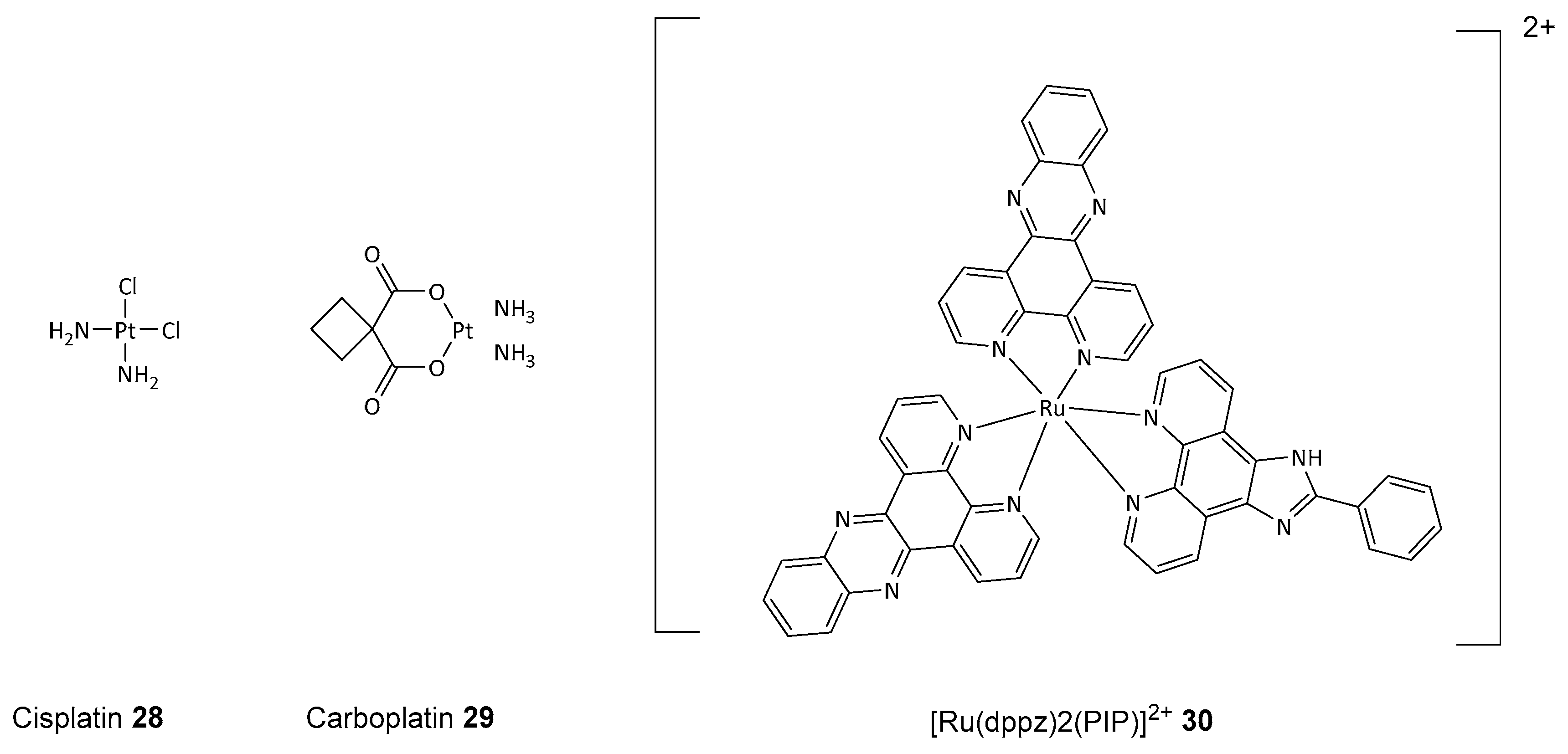 Biomolecules 14 01269 g012 Biomolecules 14 01269 g012