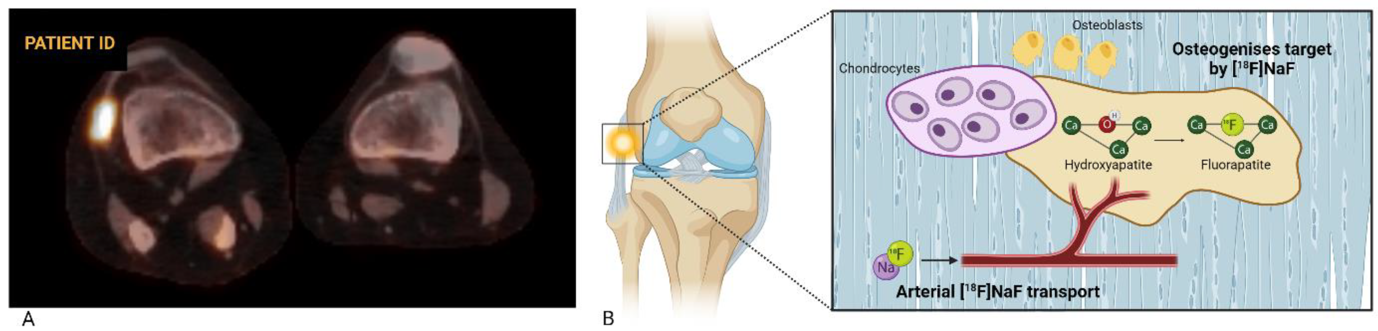 Biomolecules 14 01276 g001