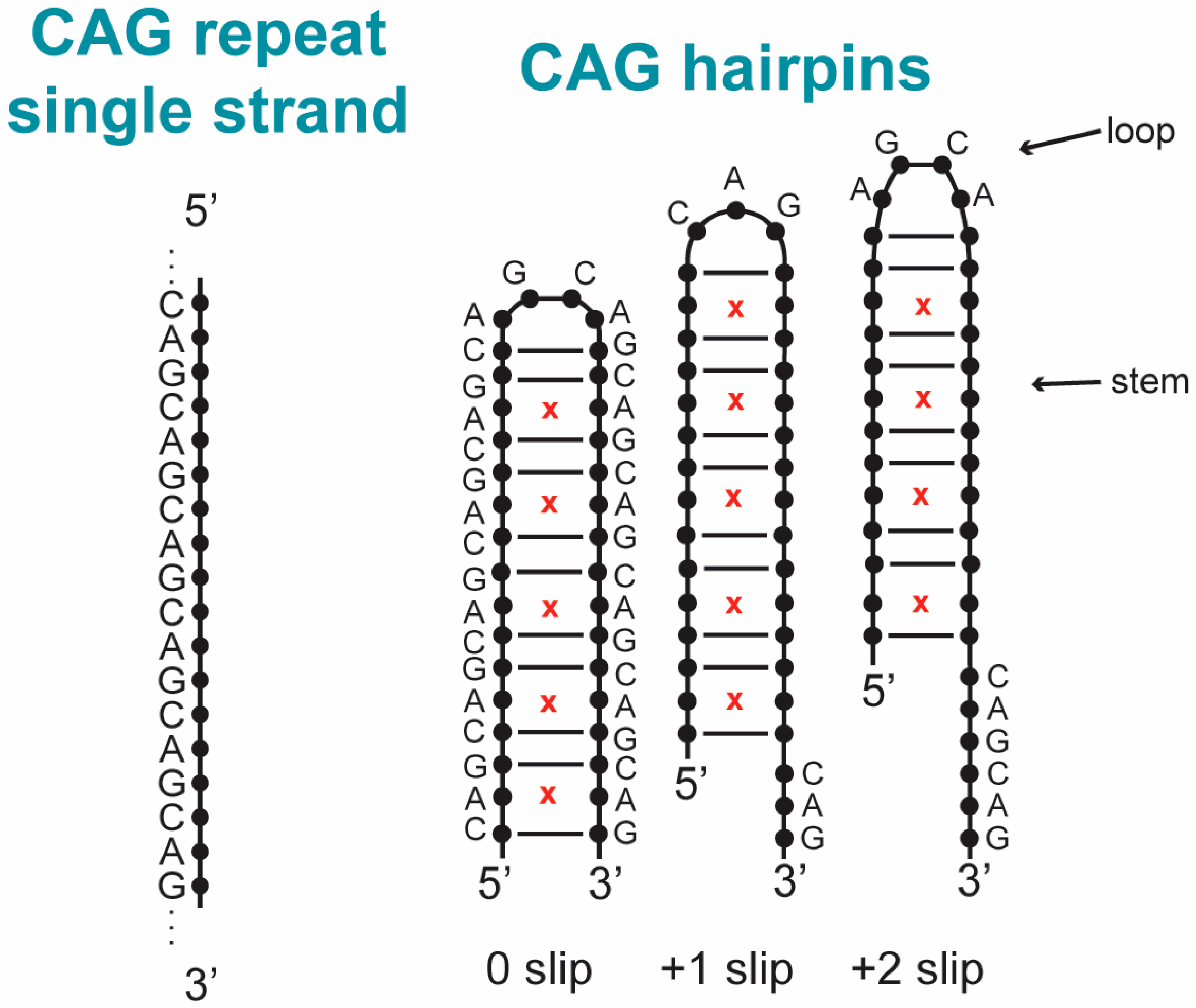 Biomolecules 14 01278 g001 Biomolecules 14 01278 g001