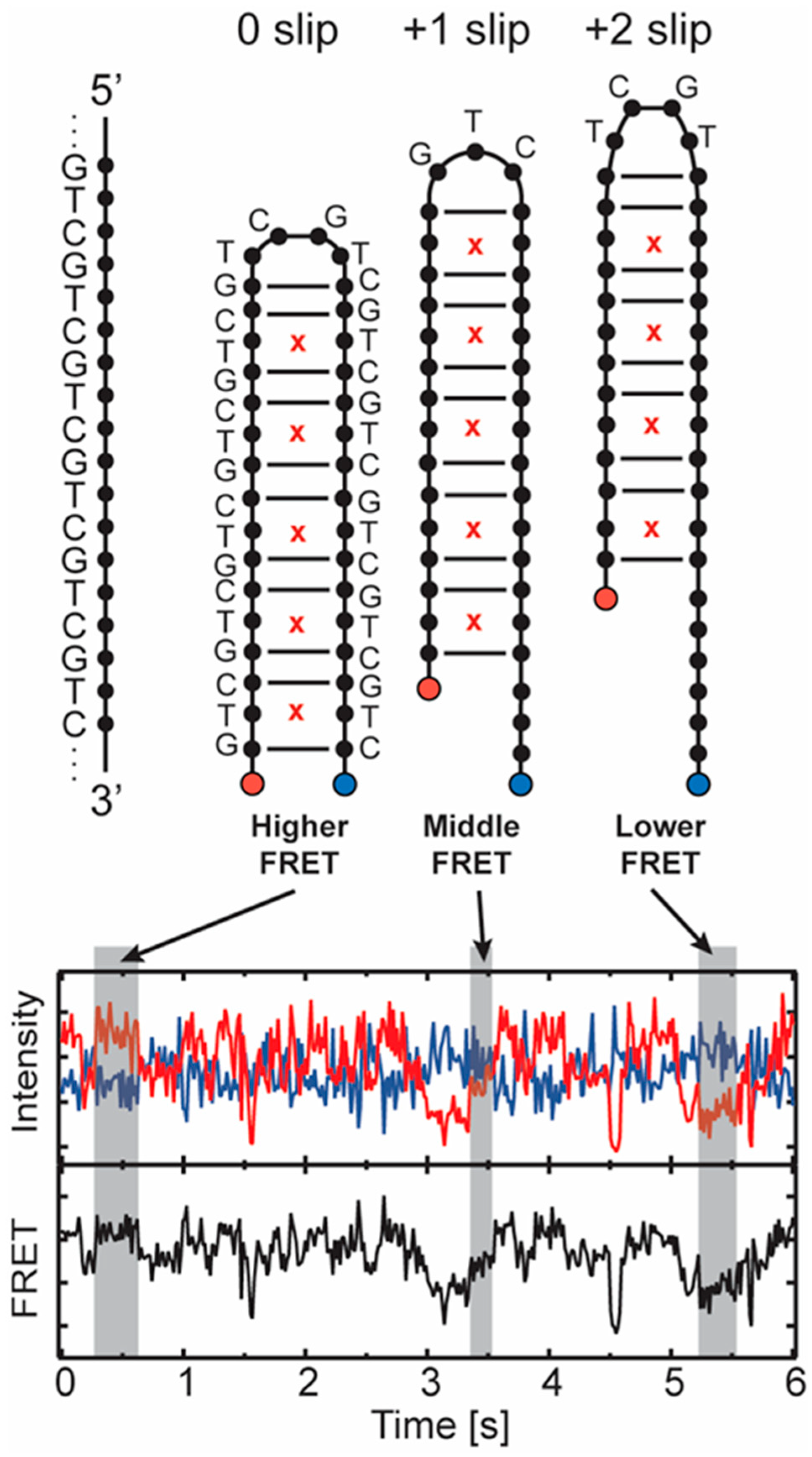 Biomolecules 14 01278 g002 Biomolecules 14 01278 g002