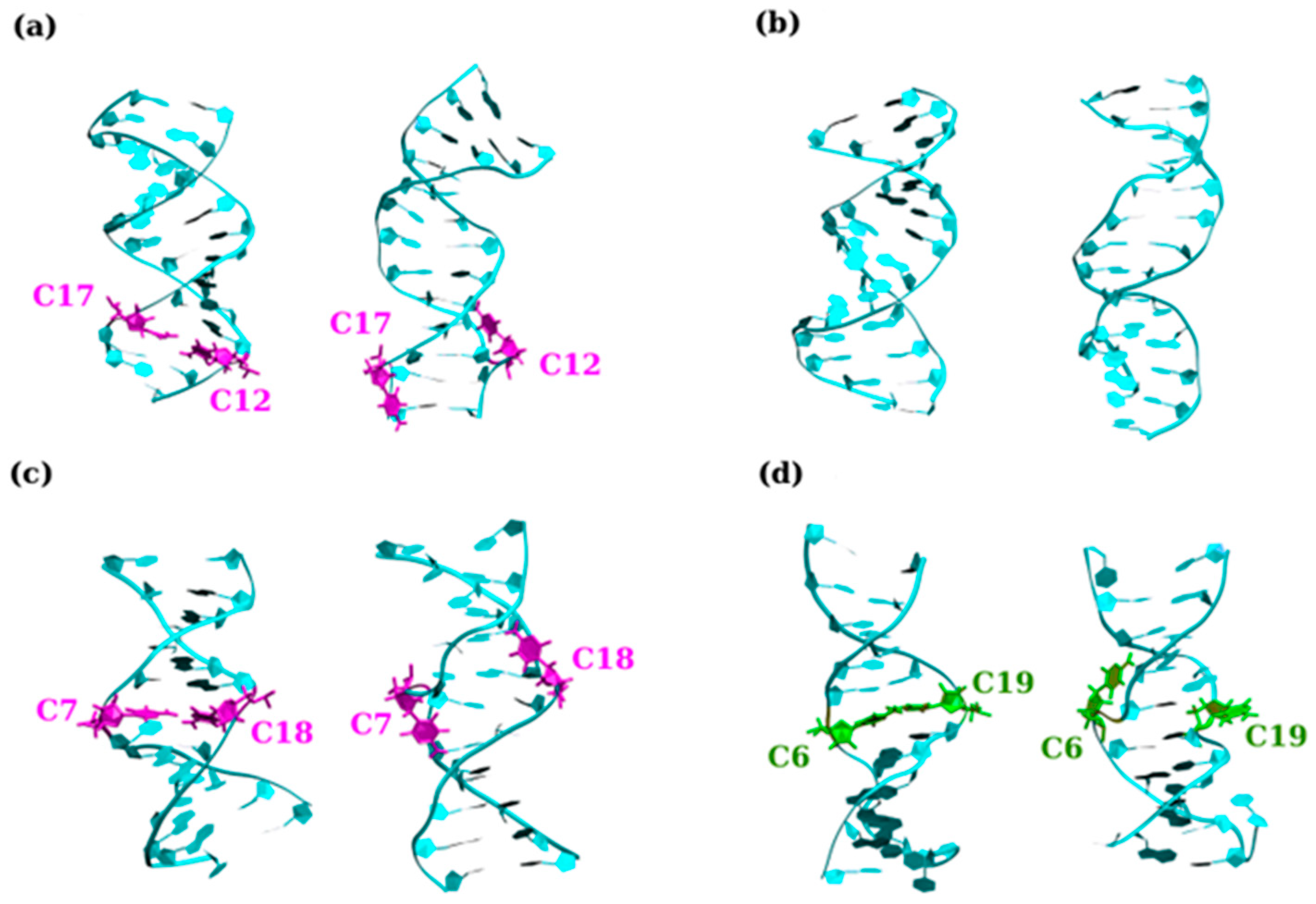 Biomolecules 14 01278 g006 Biomolecules 14 01278 g006