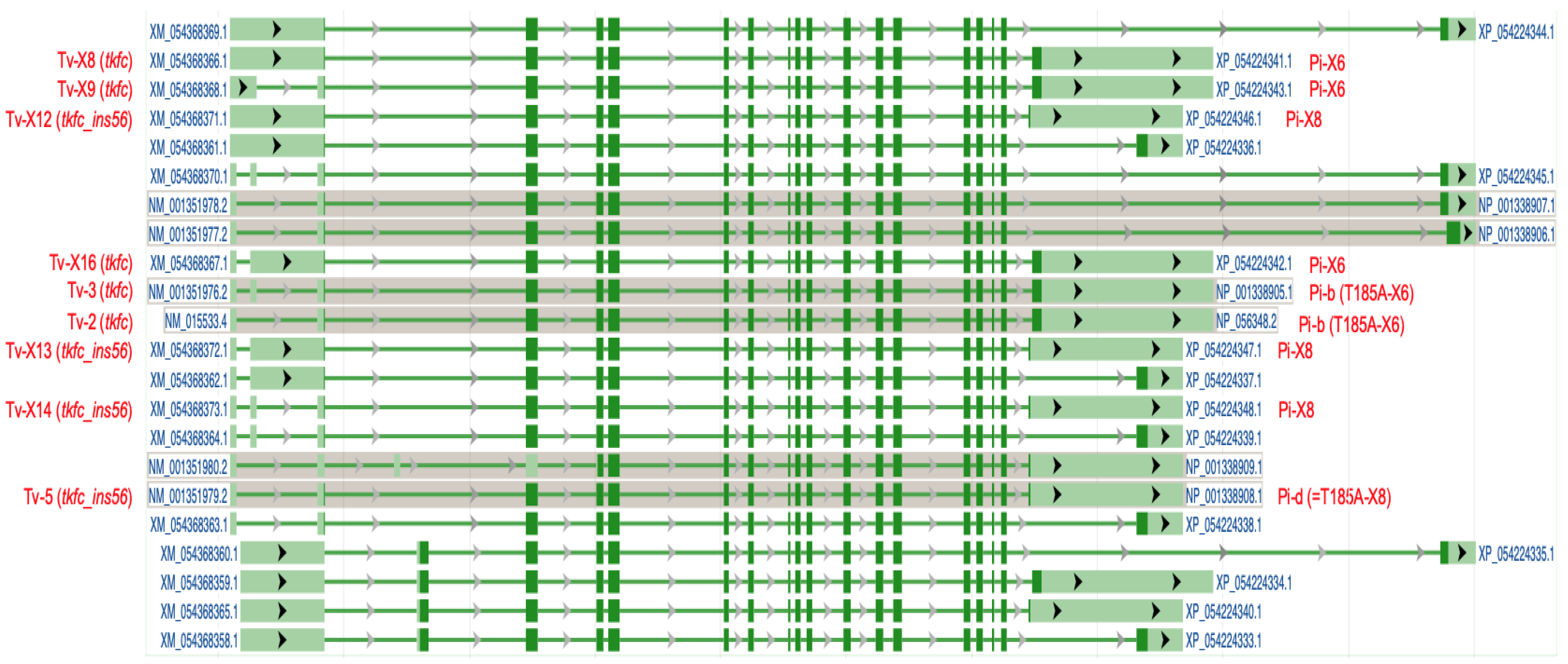 Biomolecules 14 01288 g001