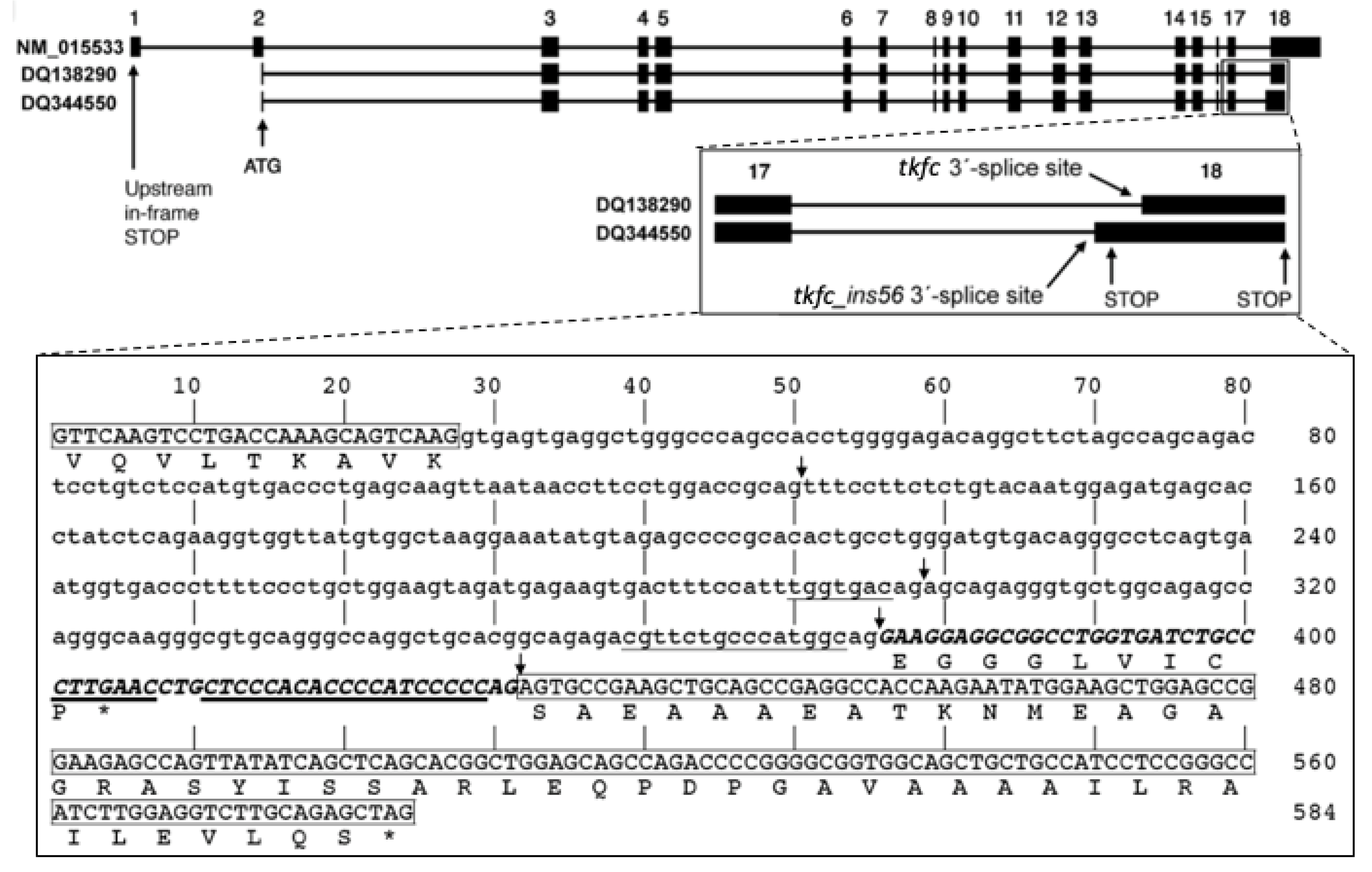 Biomolecules 14 01288 g002
