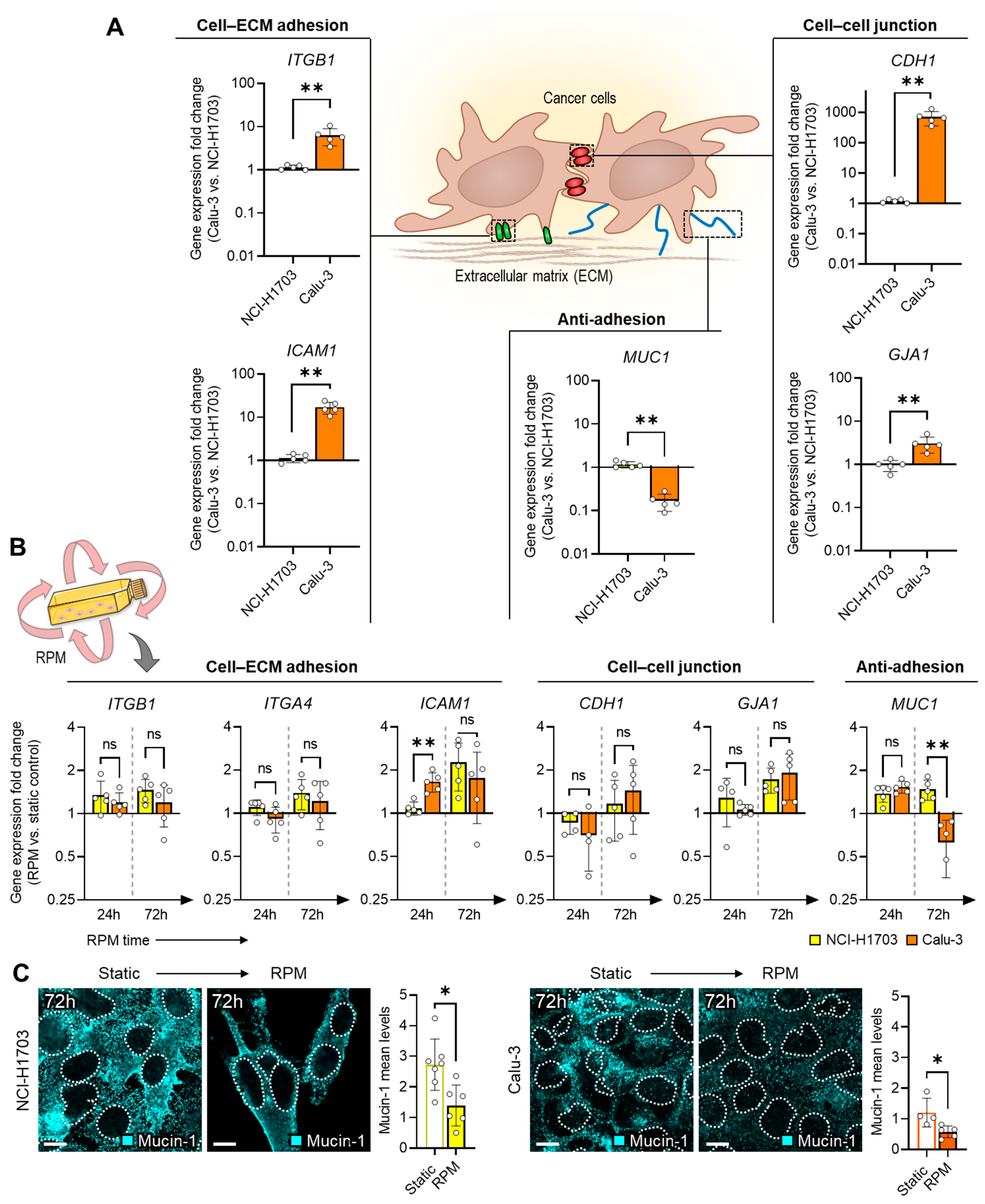Biomolecules 14 01292 g002