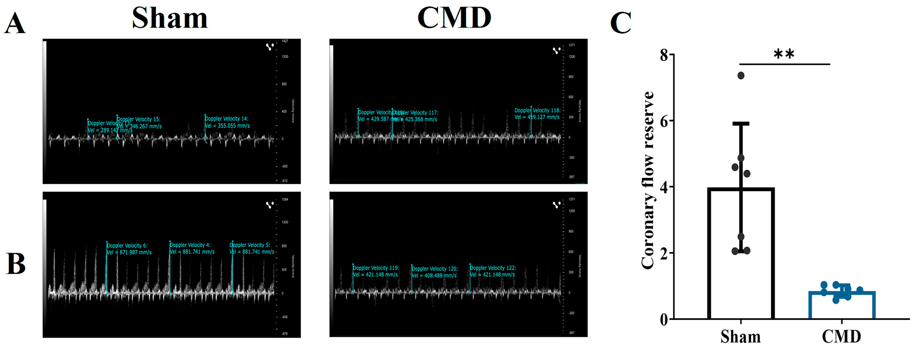 Biomolecules 14 01305 g001