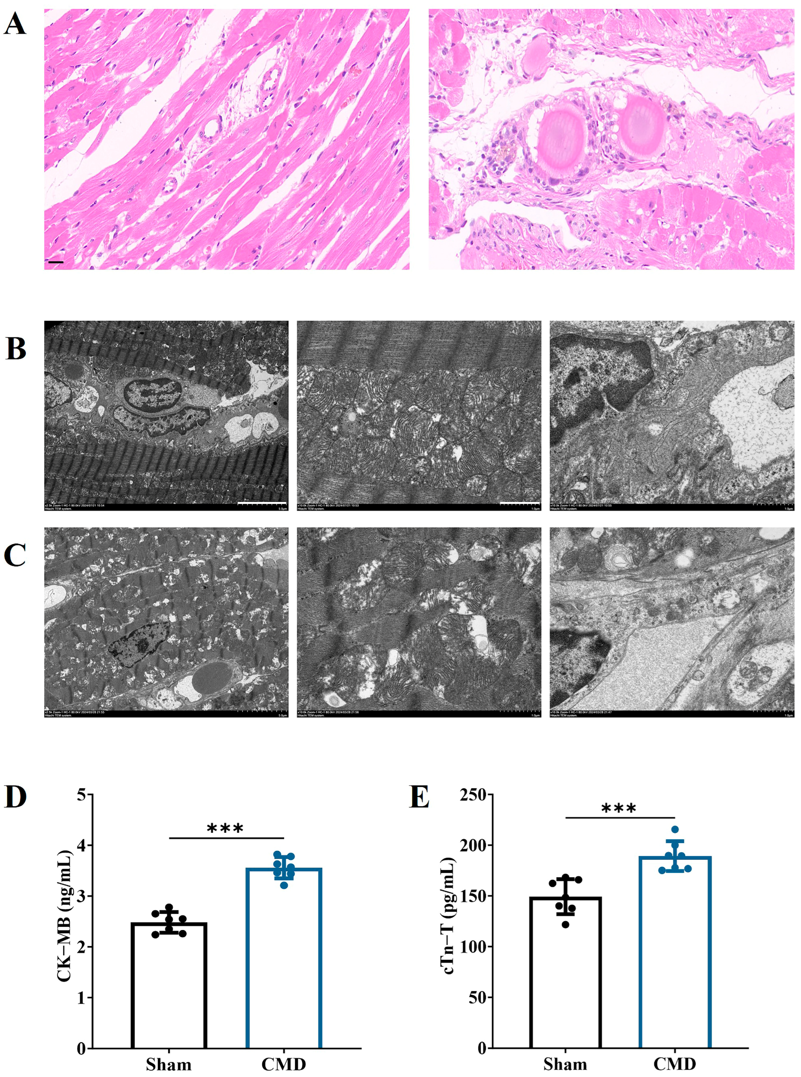 Biomolecules 14 01305 g003