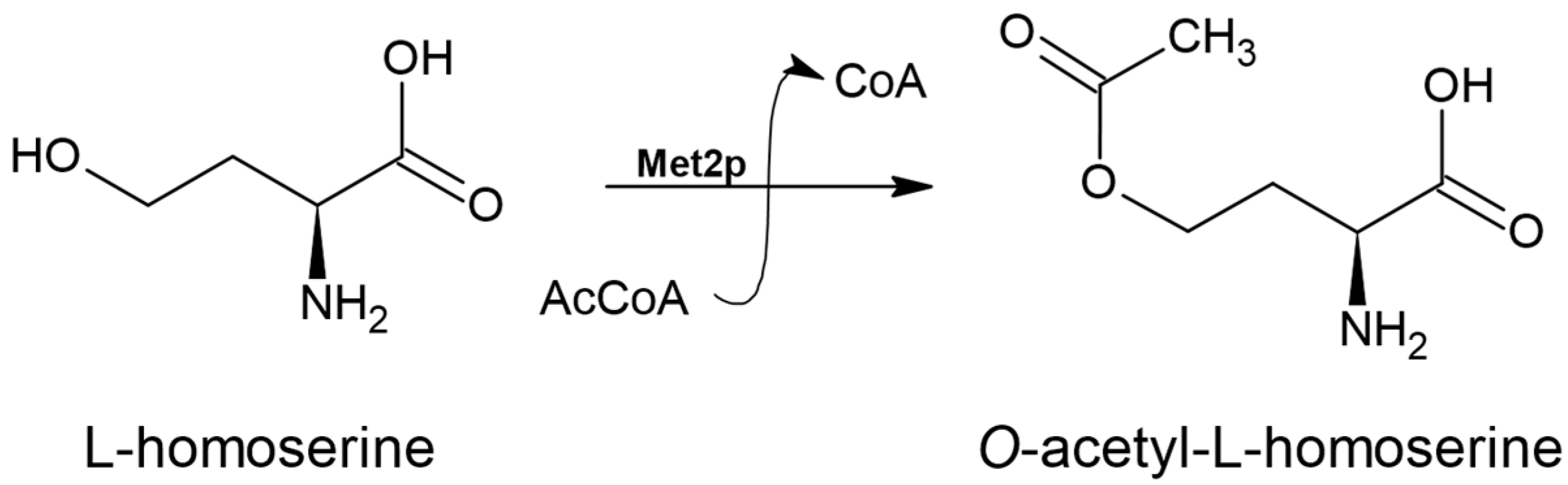 Biomolecules 14 01315 g002