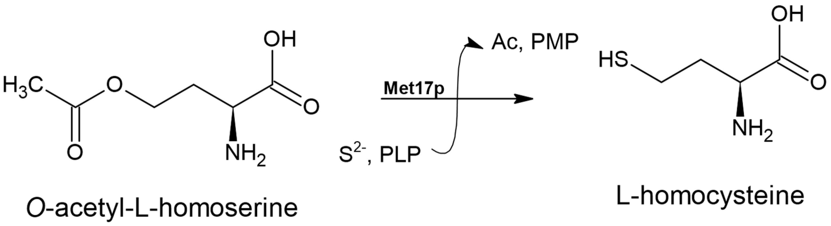 Biomolecules 14 01315 g004