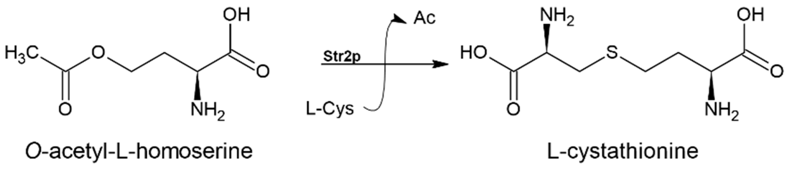 Biomolecules 14 01315 g005