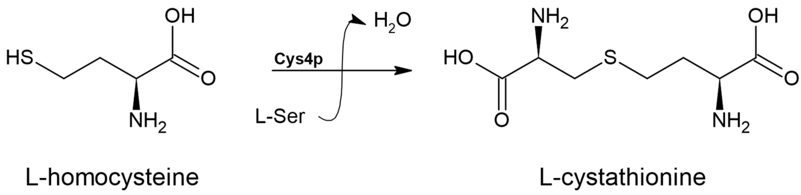 Biomolecules 14 01315 g007