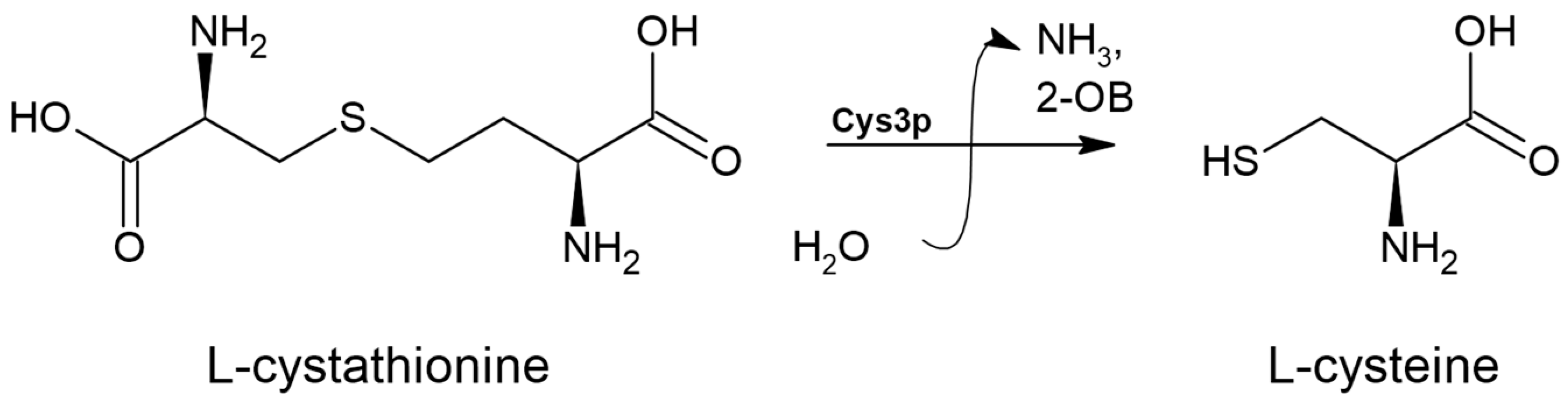 Biomolecules 14 01315 g009